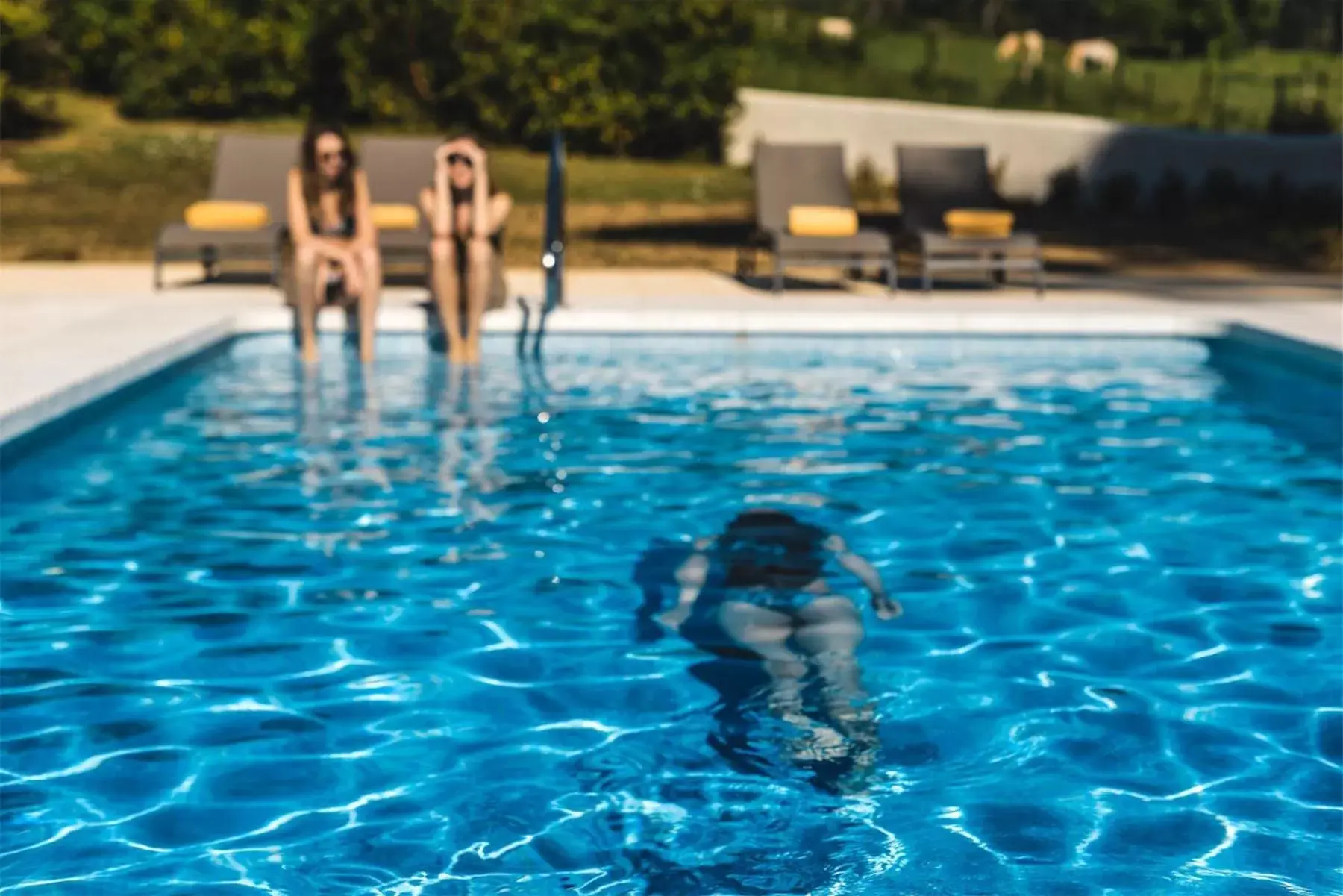 People, Swimming Pool in Hotel Zubieta