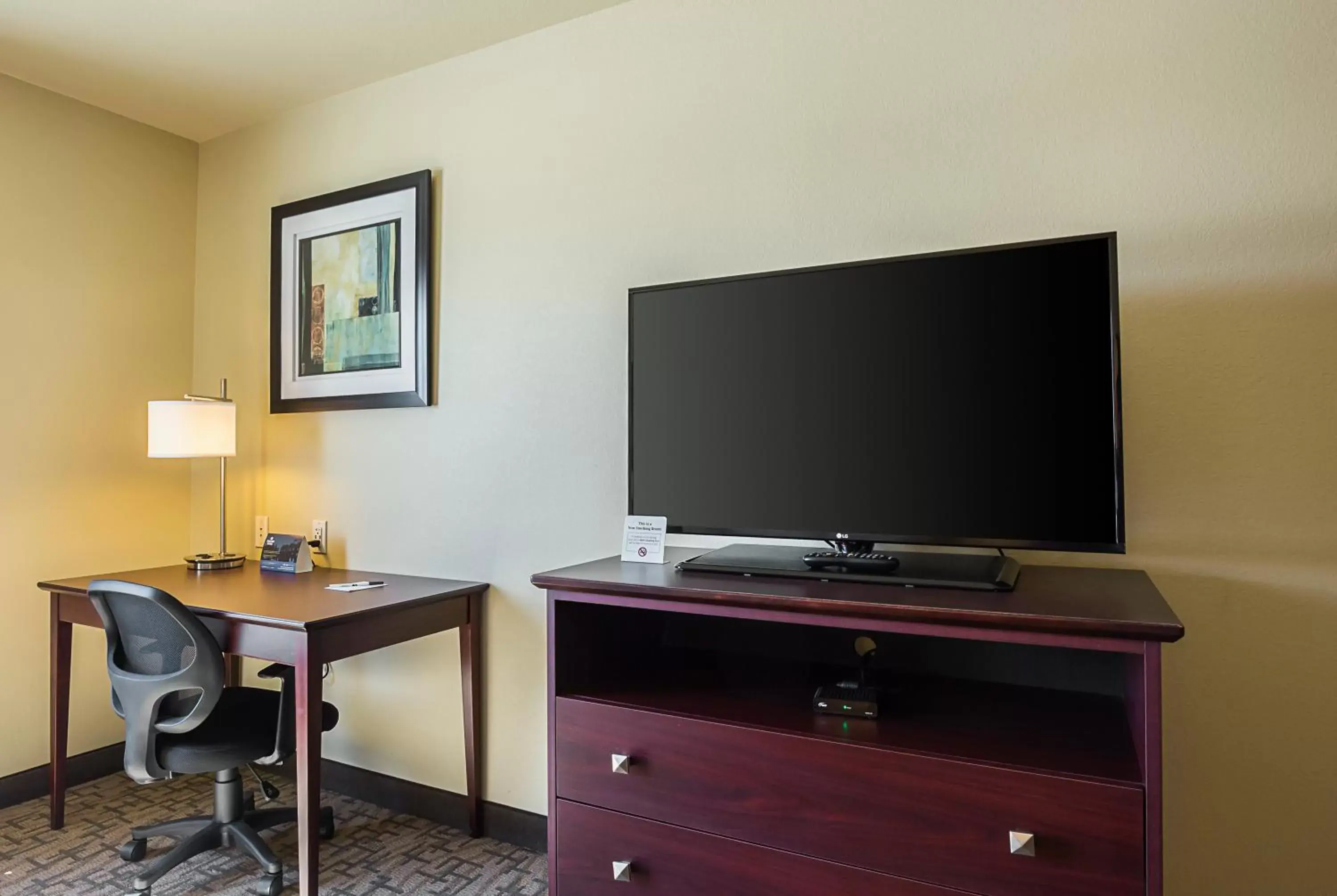 TV and multimedia, TV/Entertainment Center in Cobblestone Inn & Suites - Altamont