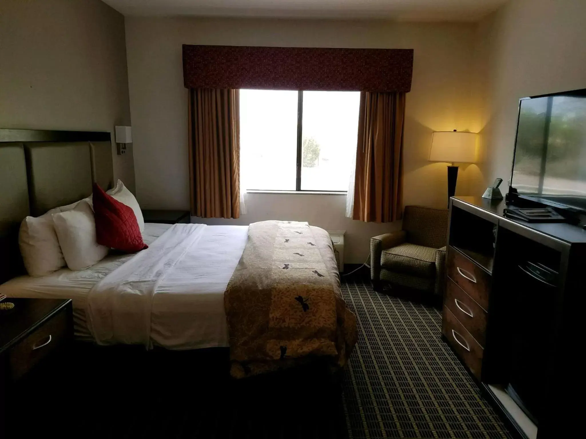 Bed in Best Western Plus Eagleridge Inn & Suites