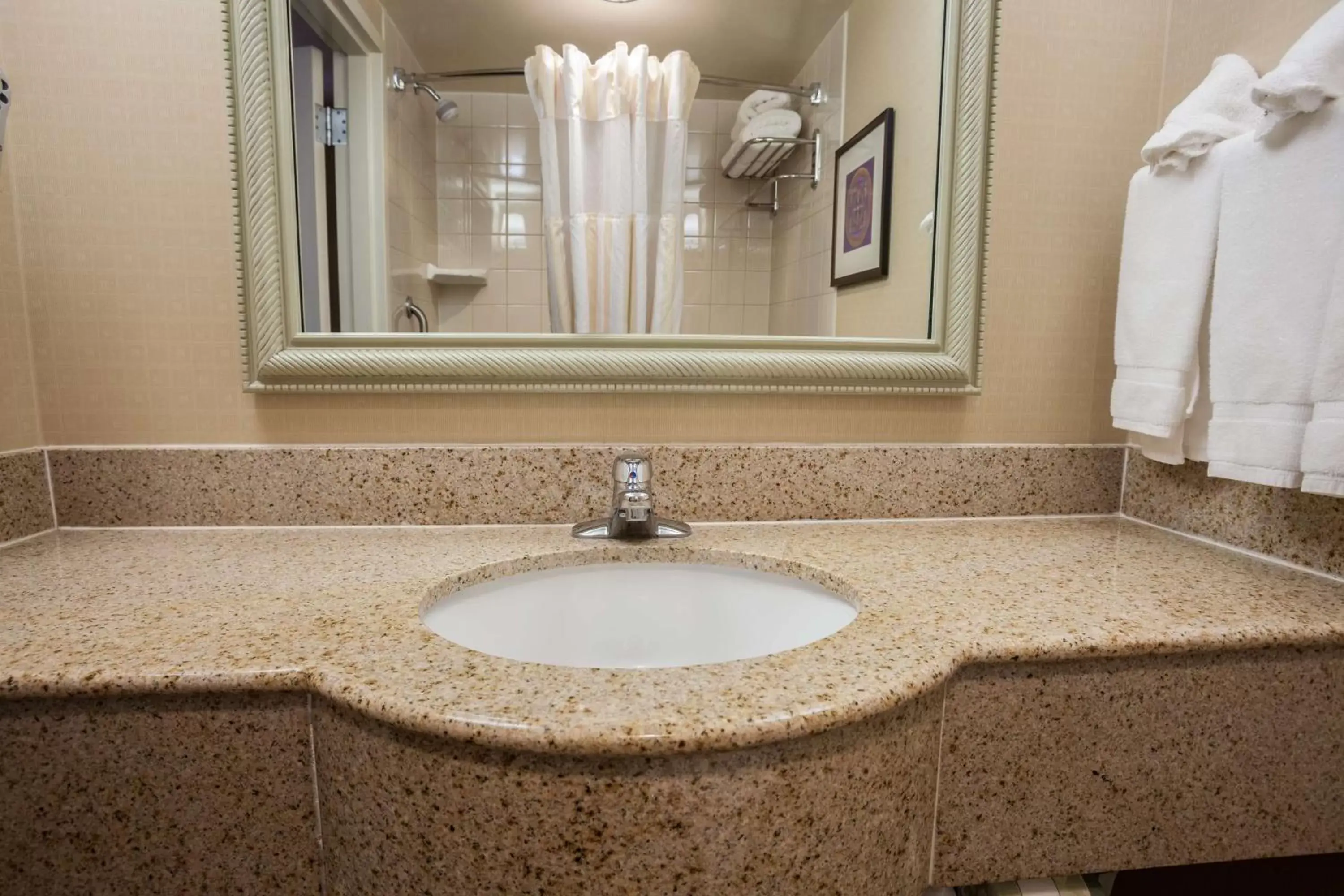 Bathroom in Hilton Garden Inn El Paso University