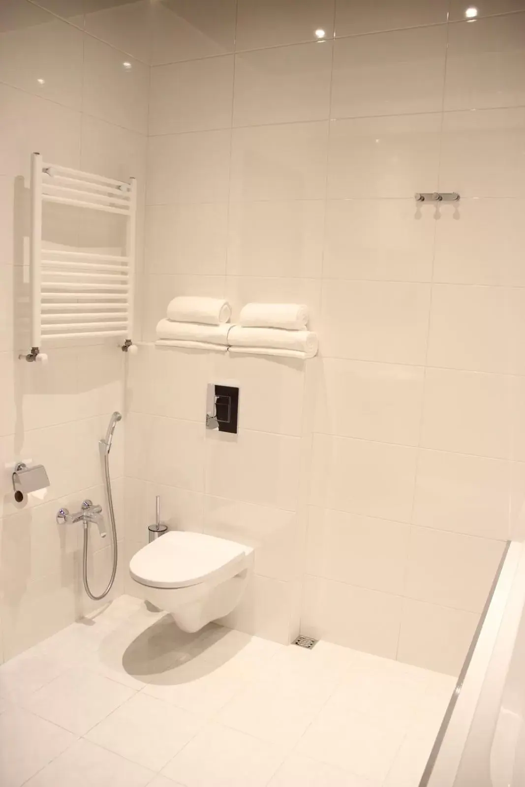 Toilet, Bathroom in Super Luxury Apartments