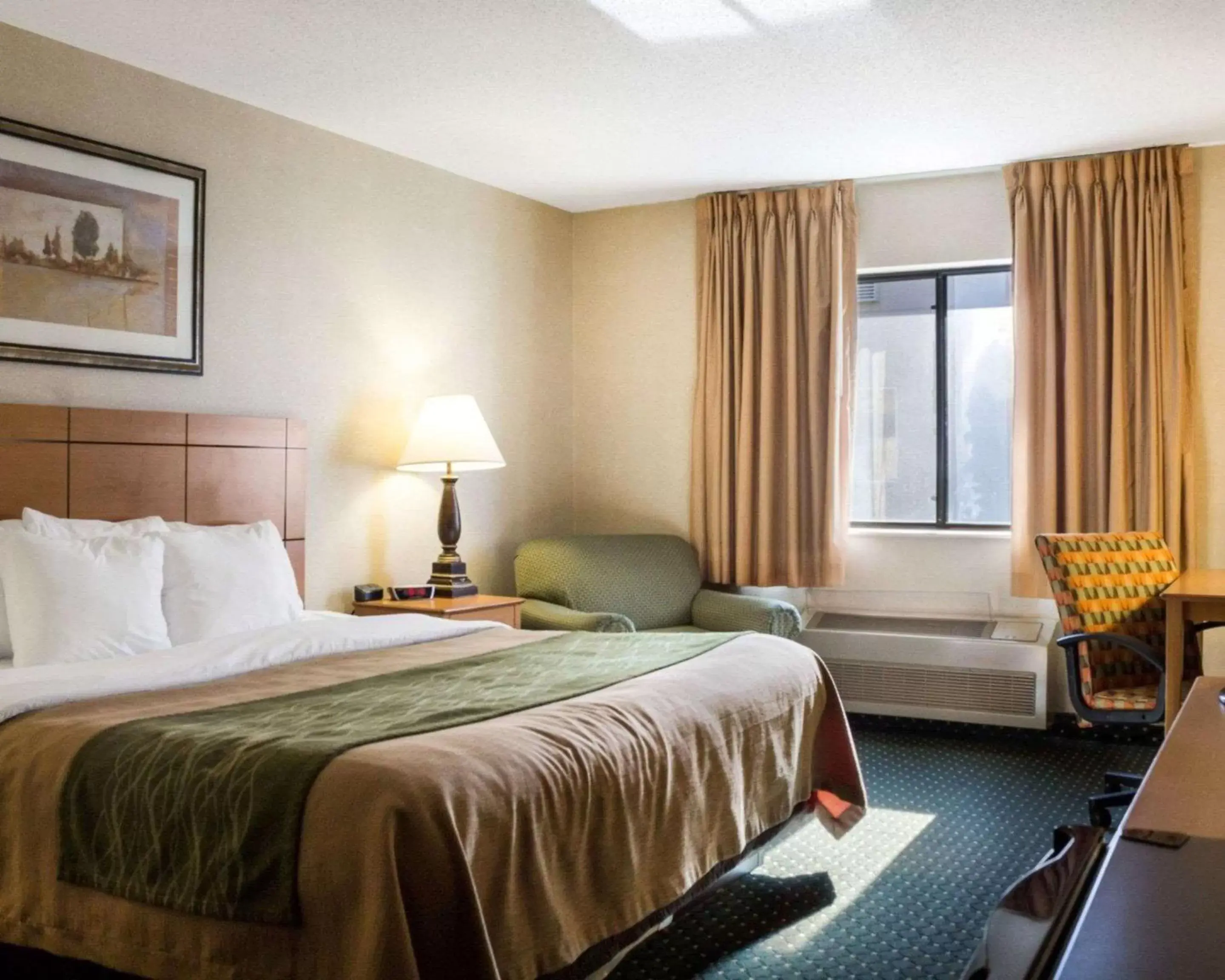 Photo of the whole room in Comfort Inn Photo of the whole room in Comfort Inn