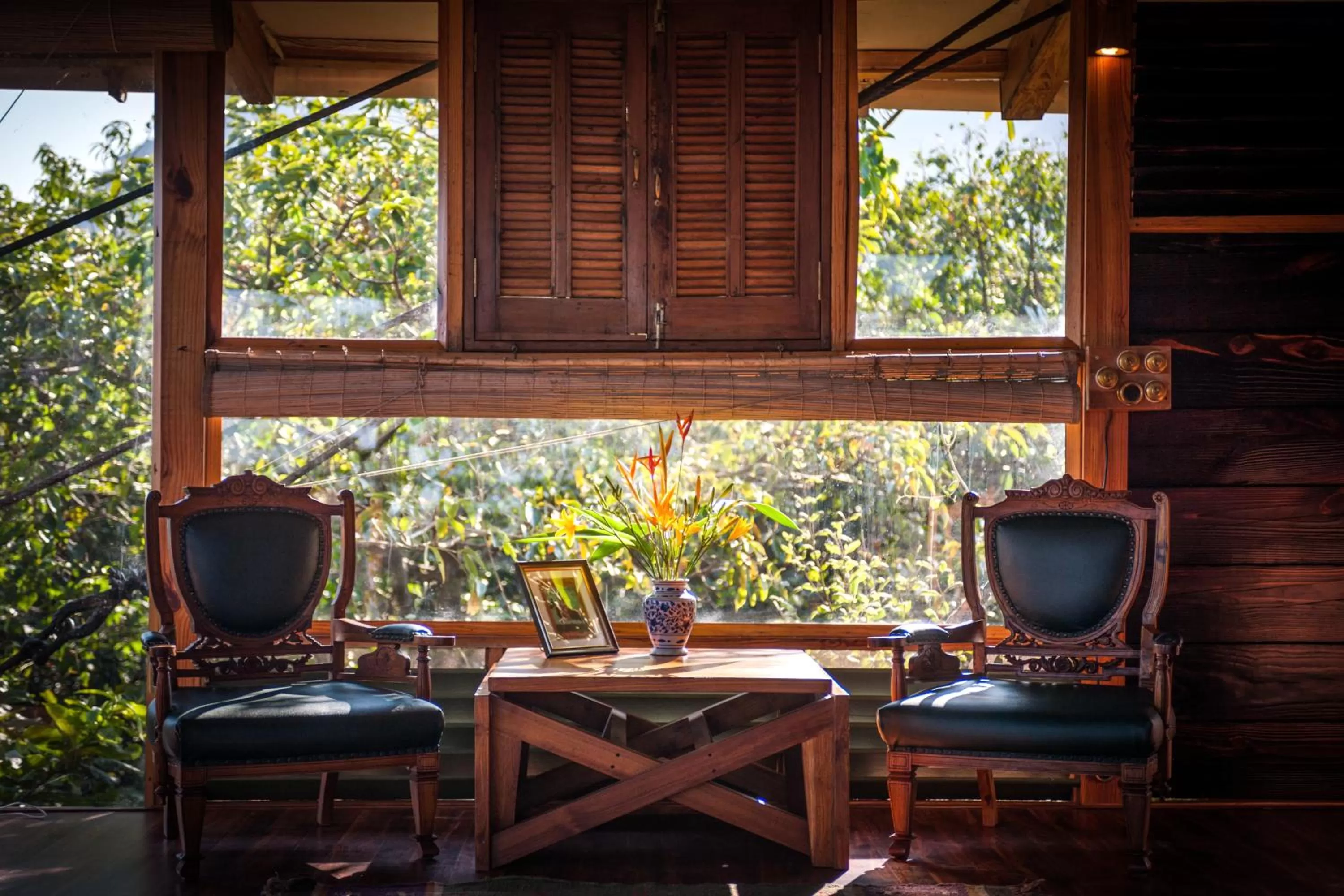 View (from property/room) in The Machan