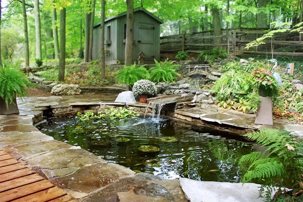 Forest Hill Bed and Breakfast