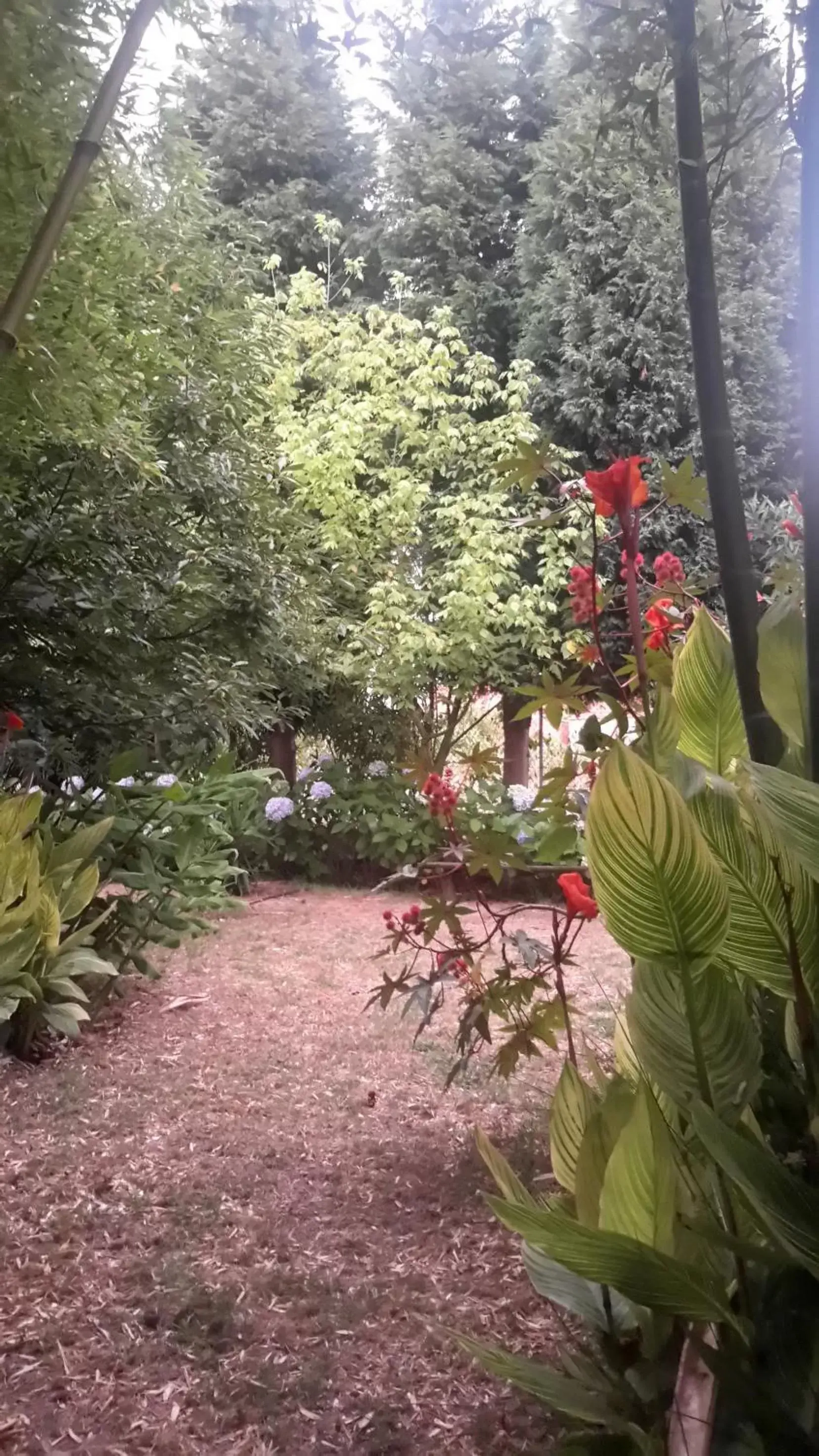 Garden in Casa 3 Águias