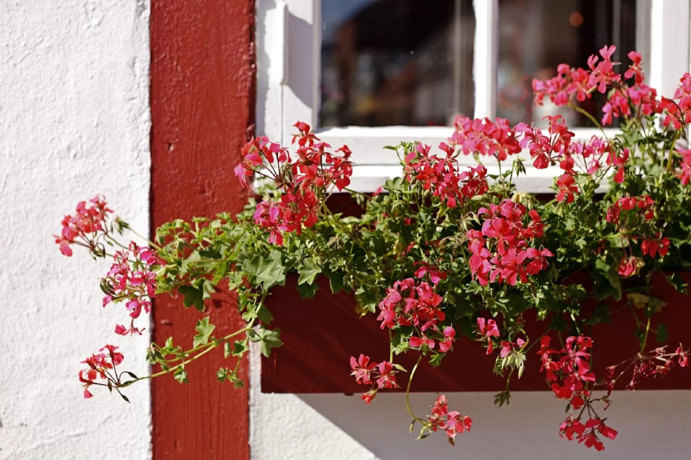 Natural landscape in Hotel Kirstine