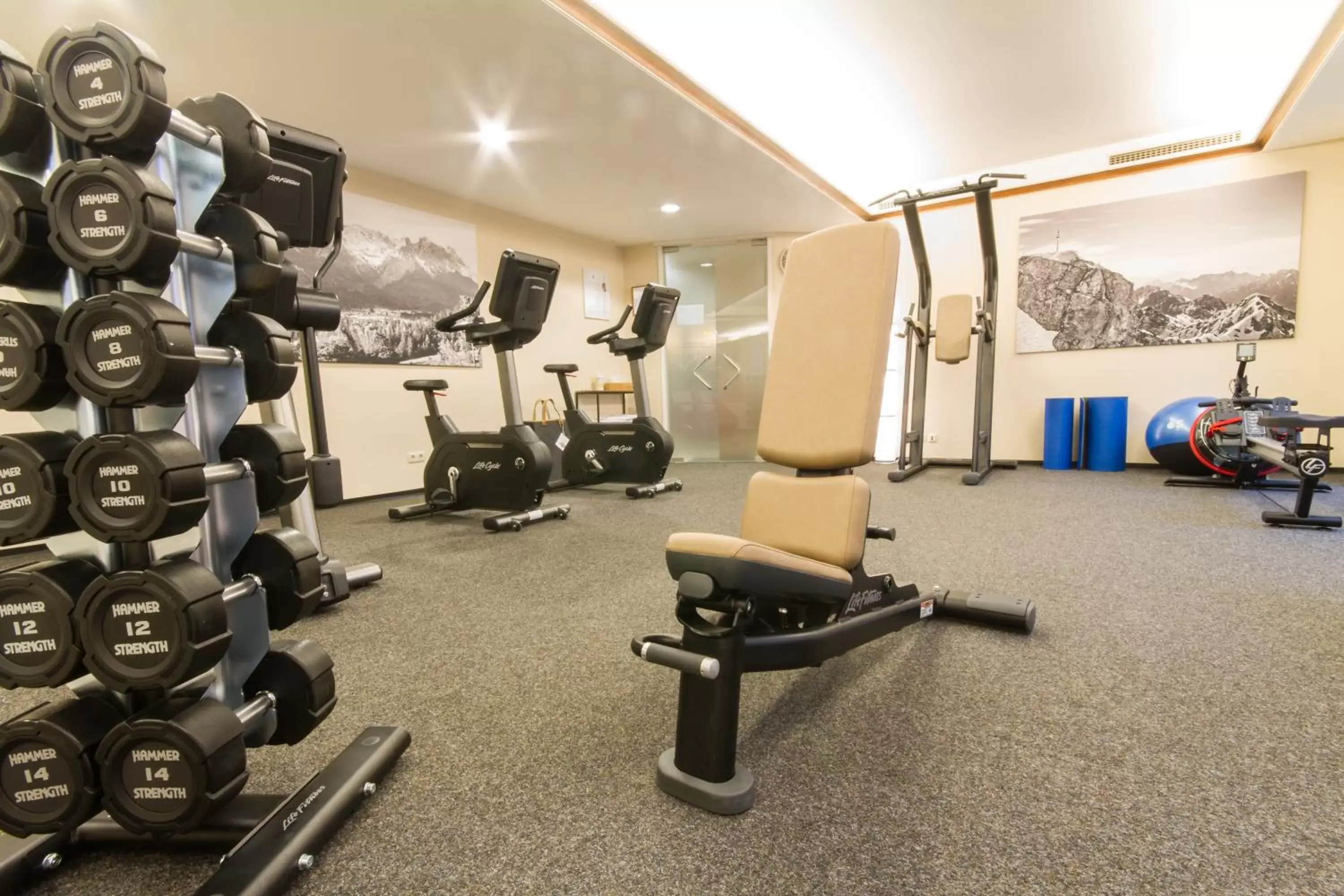 Fitness centre/facilities, Fitness Center/Facilities in Hotel Zugspitze