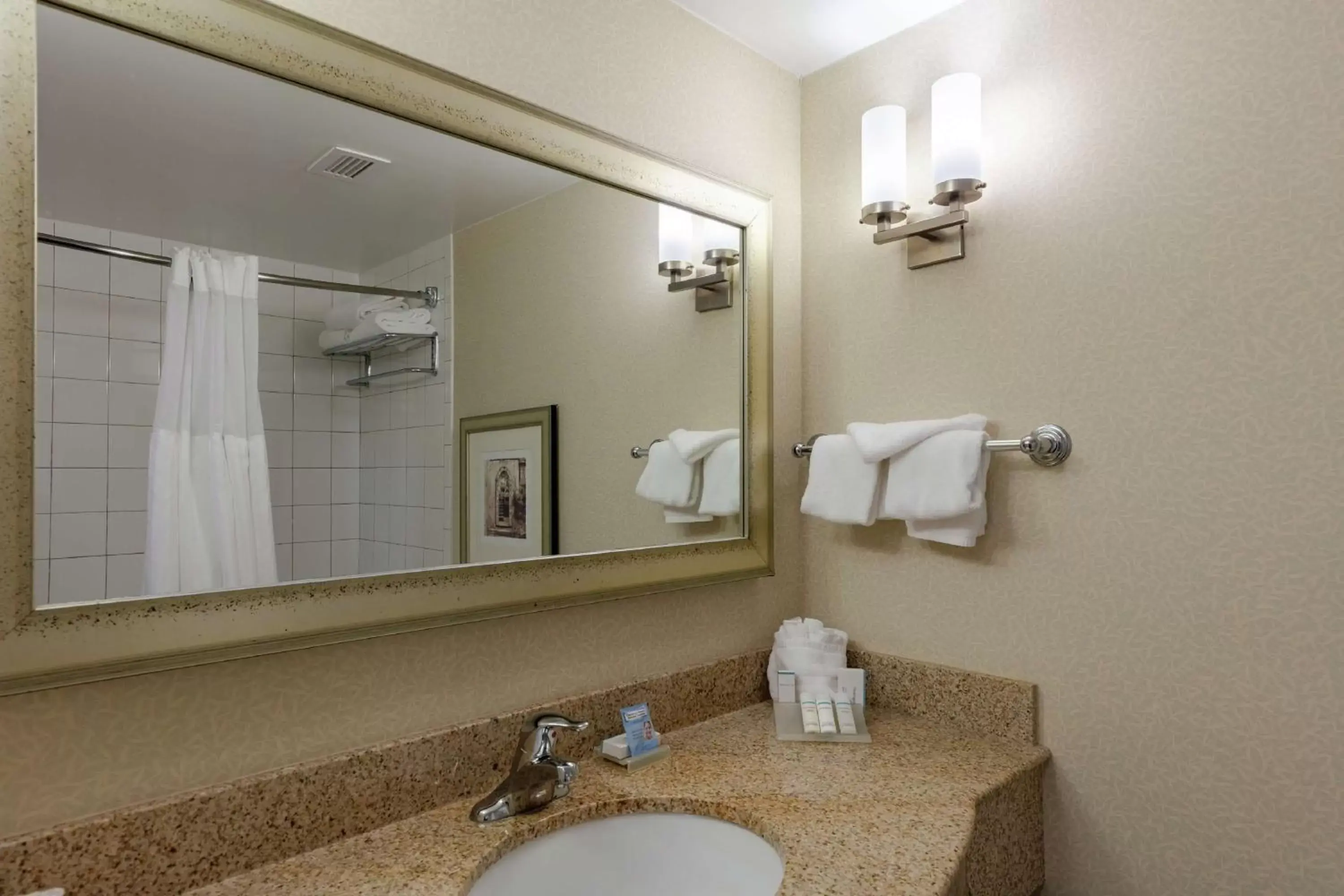 Bathroom in Hilton Garden Inn Mobile West I-65 Airport Boulevard