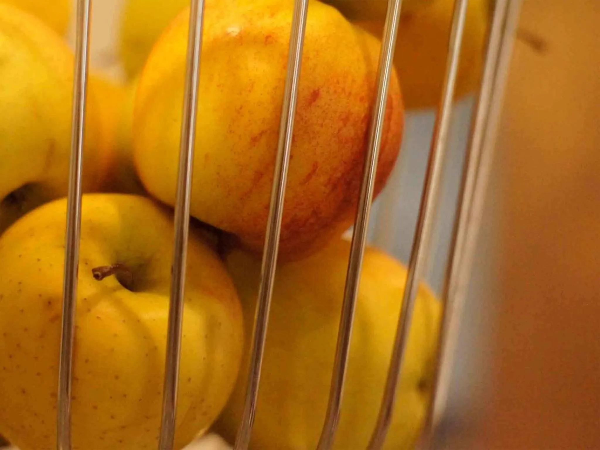 Lobby or reception in Hotel Vadian Garni