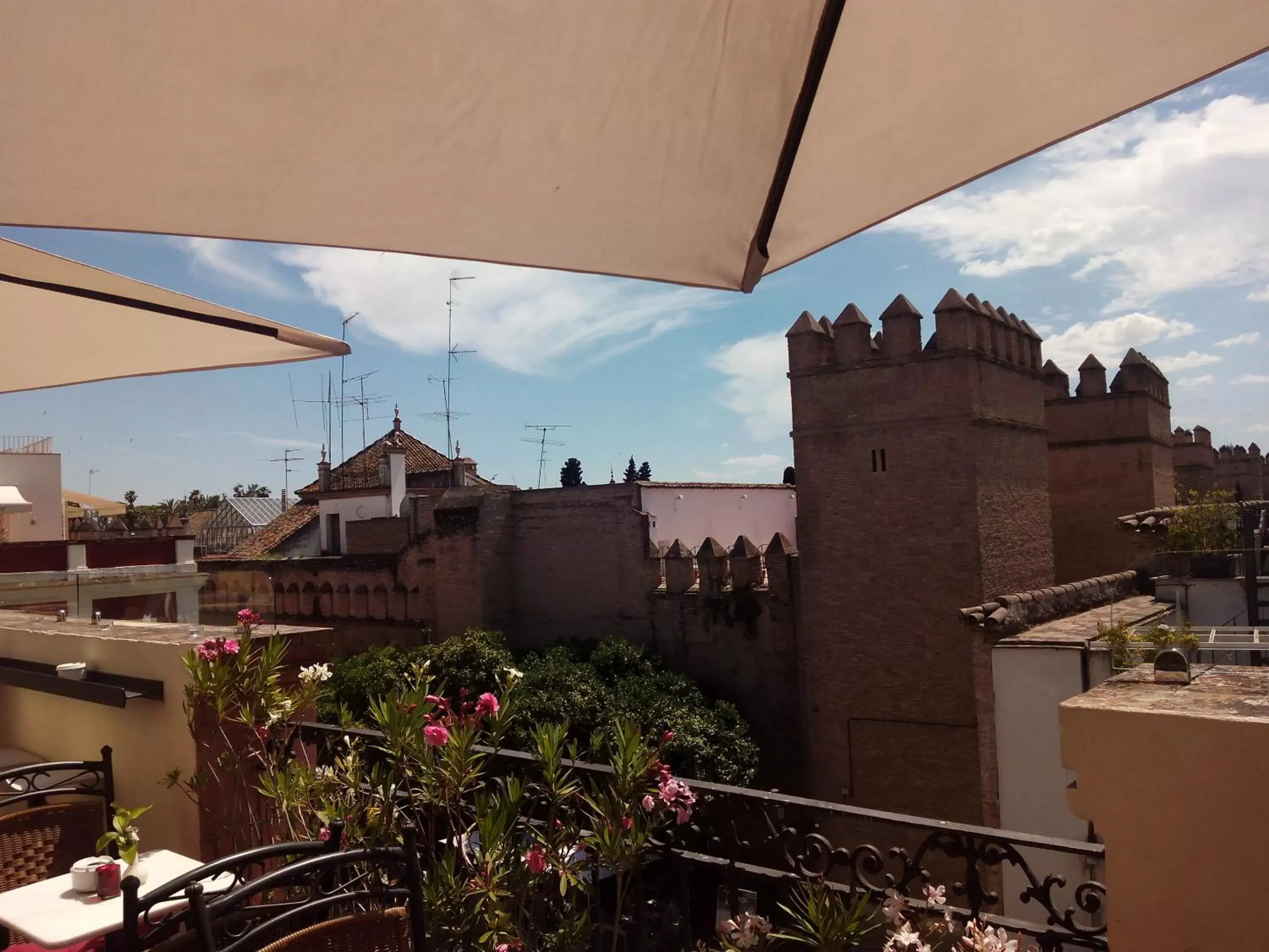 Day, Balcony/Terrace in Hotel Palacio Alcázar