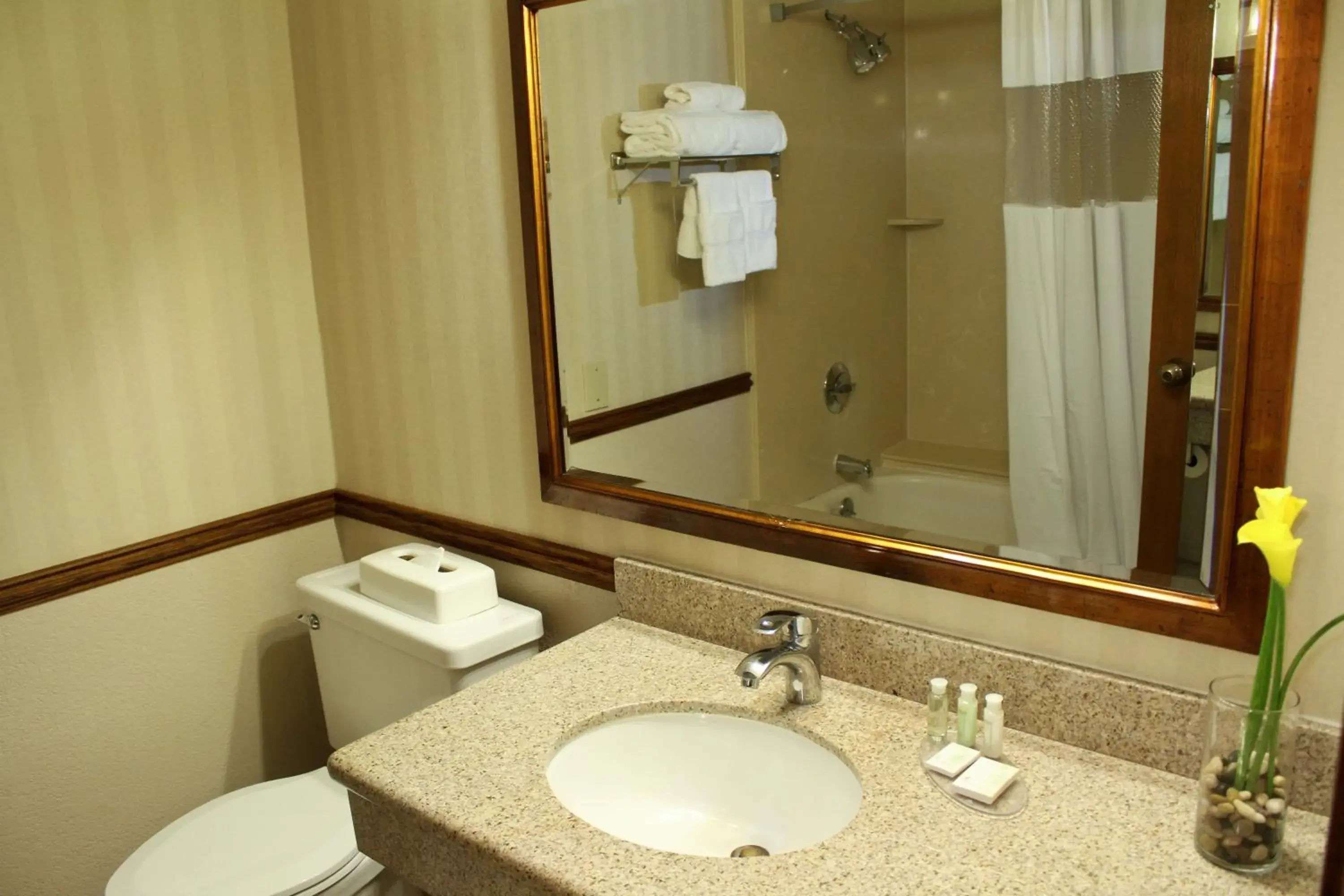 Bathroom in University Square Hotel