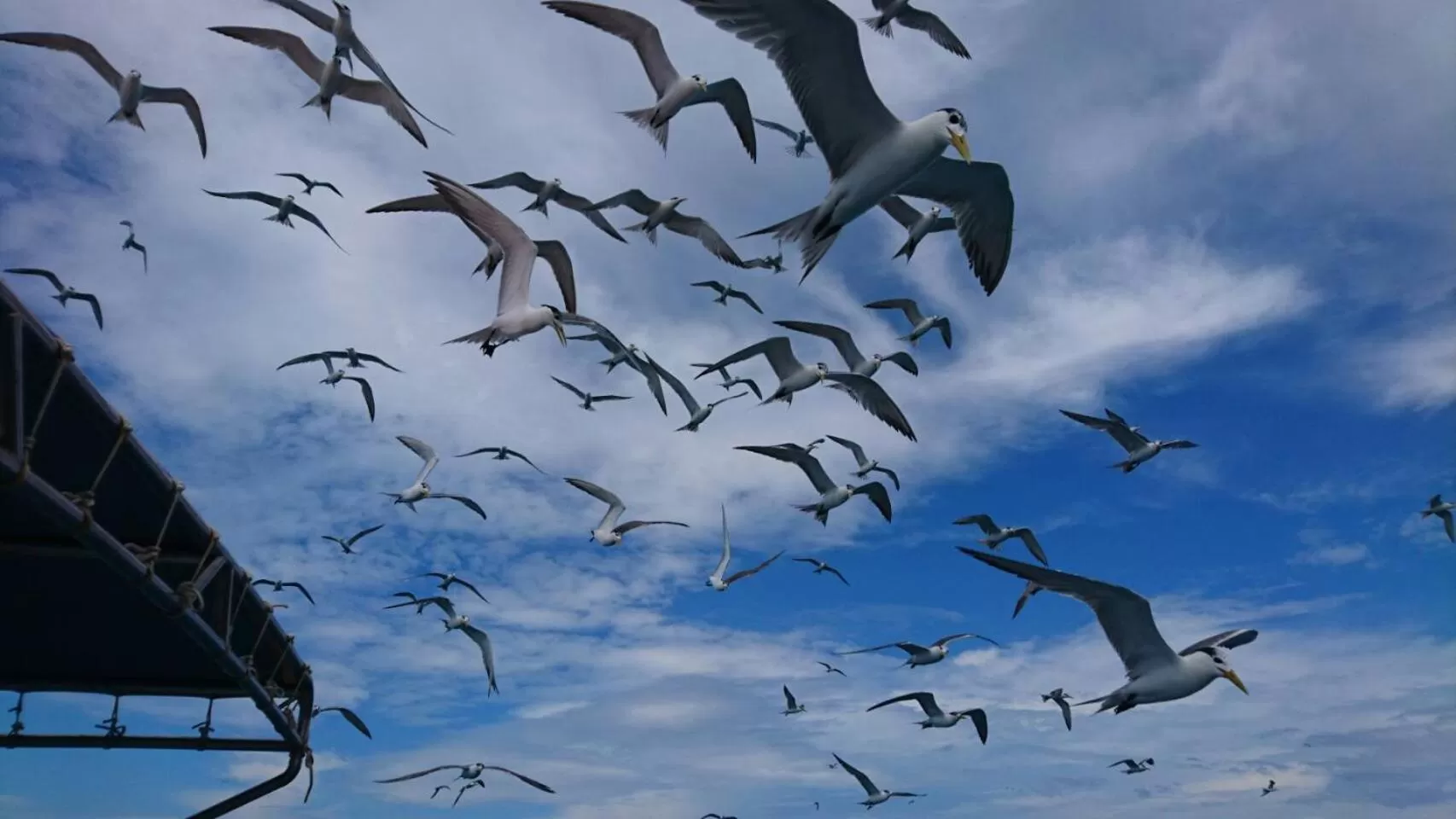 Off site in Beachcastle & Sea View Villa