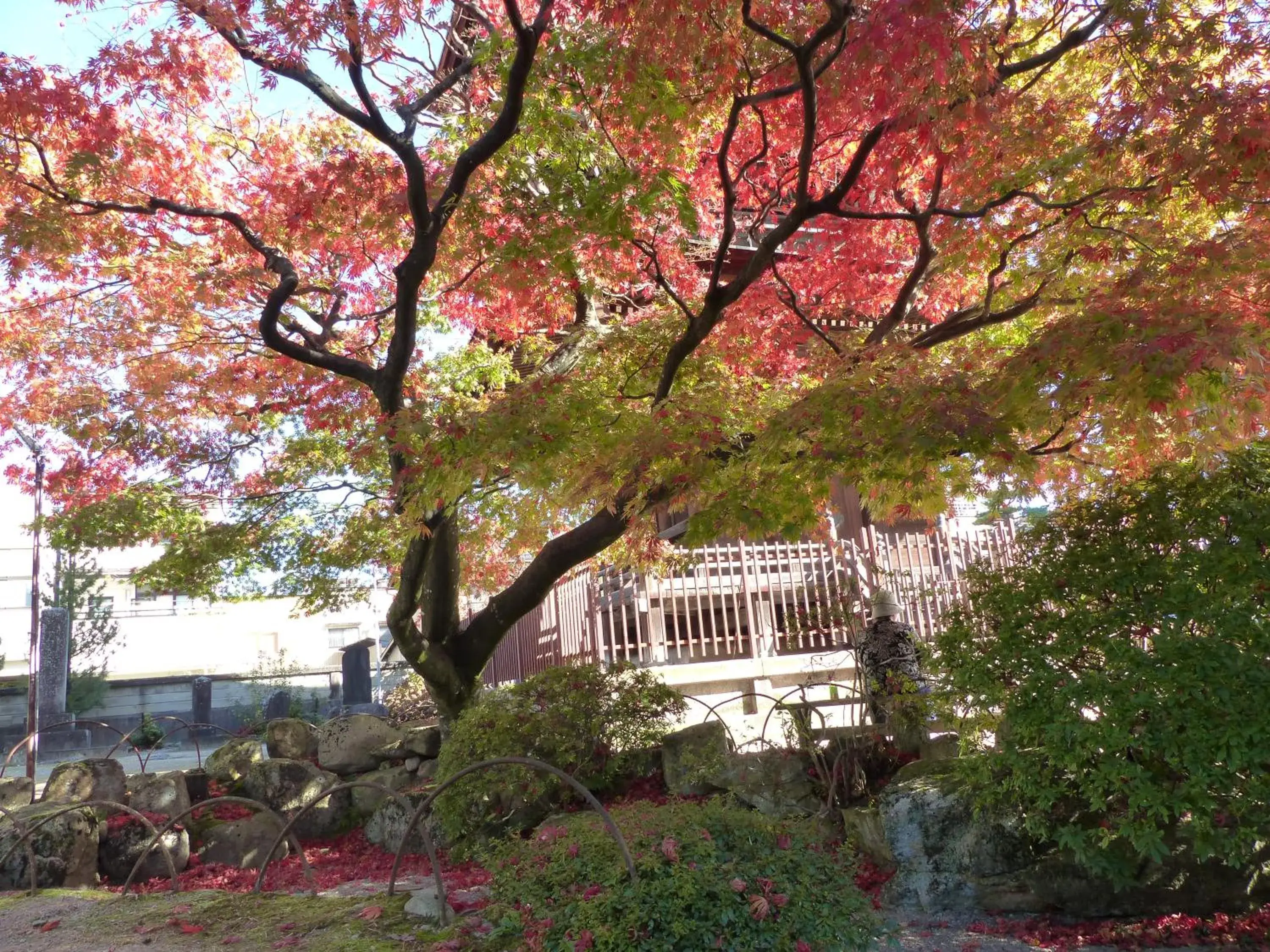 Nearby landmark in Minshuku Kuwataniya Ryokan