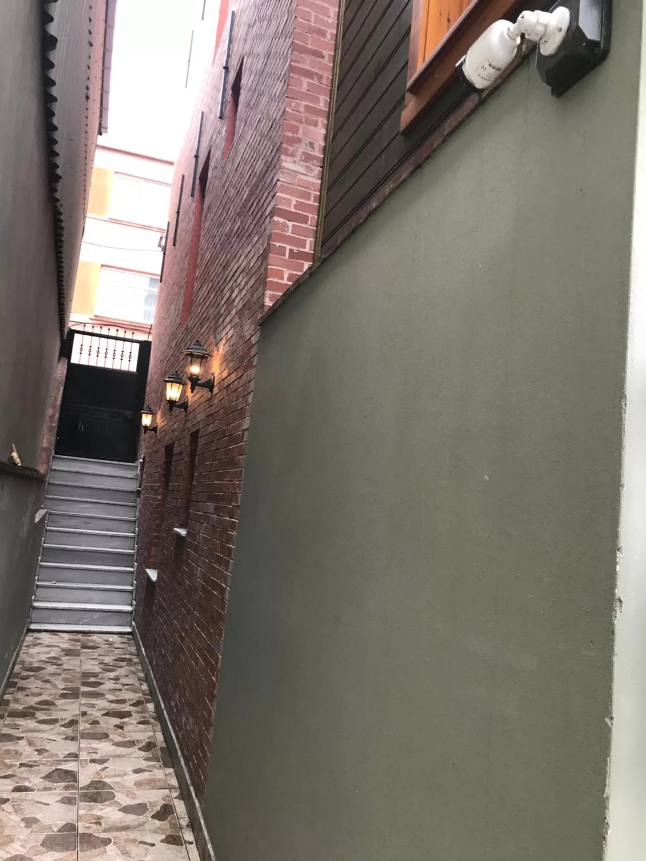 Garden in Green Mansion