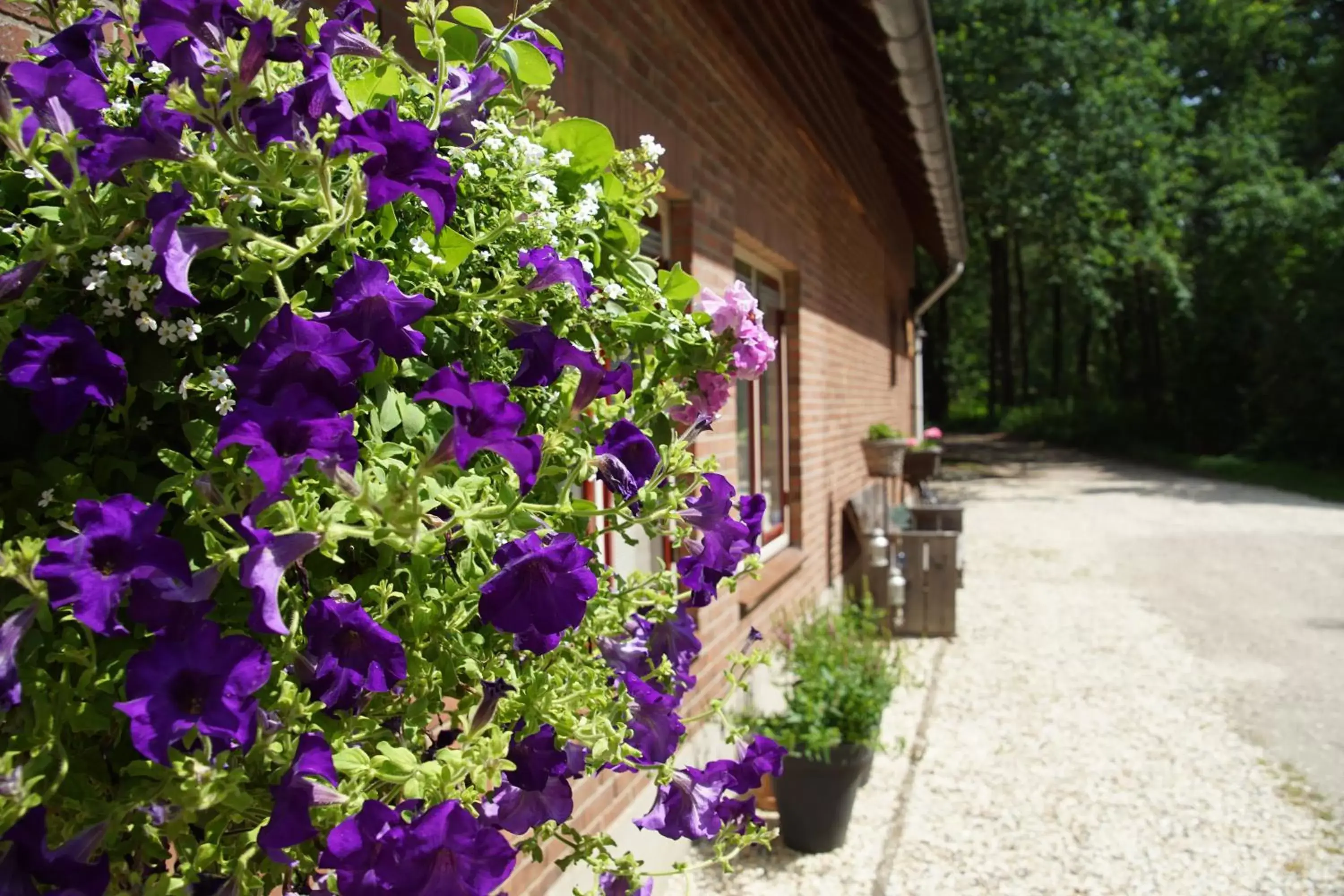 Facade/entrance in Bed & Breakfast aan de Beek