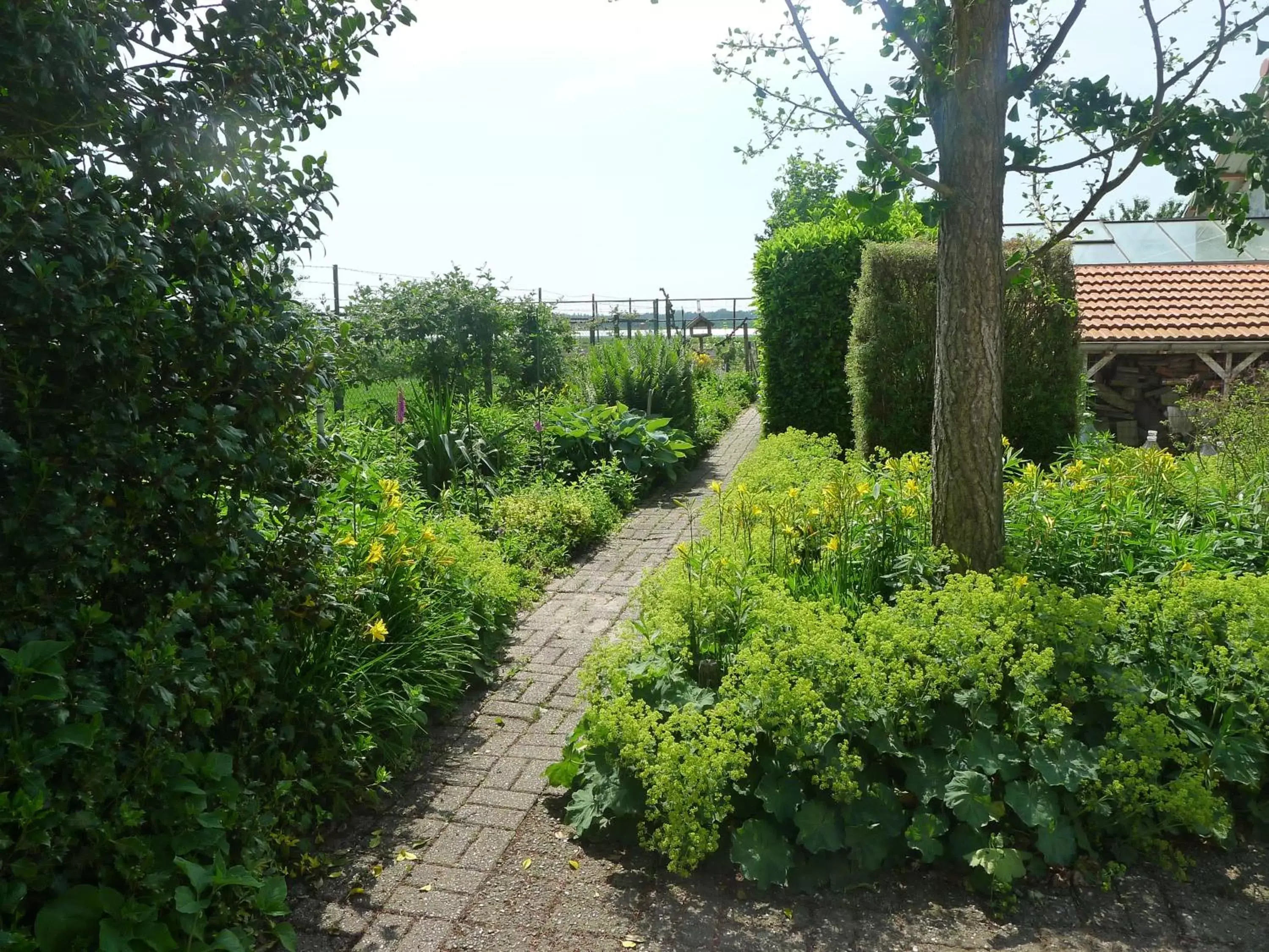 Garden view, Garden in B&B De Kleine Wijngaard