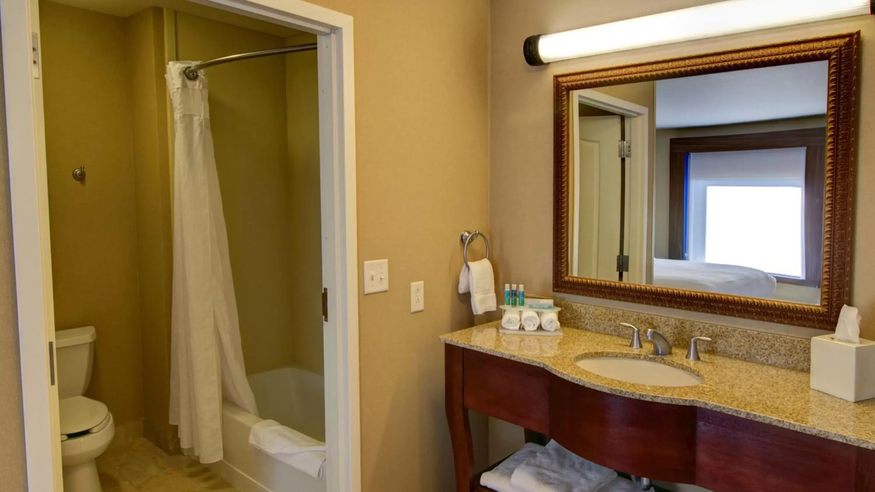 Bathroom in Holiday Inn Express & Suites Sioux City-South, an IHG Hotel