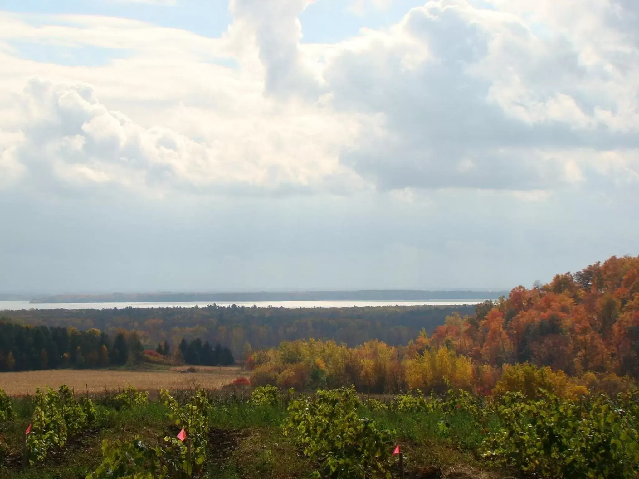 View (from property/room), Natural Landscape in Auberge de l'Abbaye d'Oka