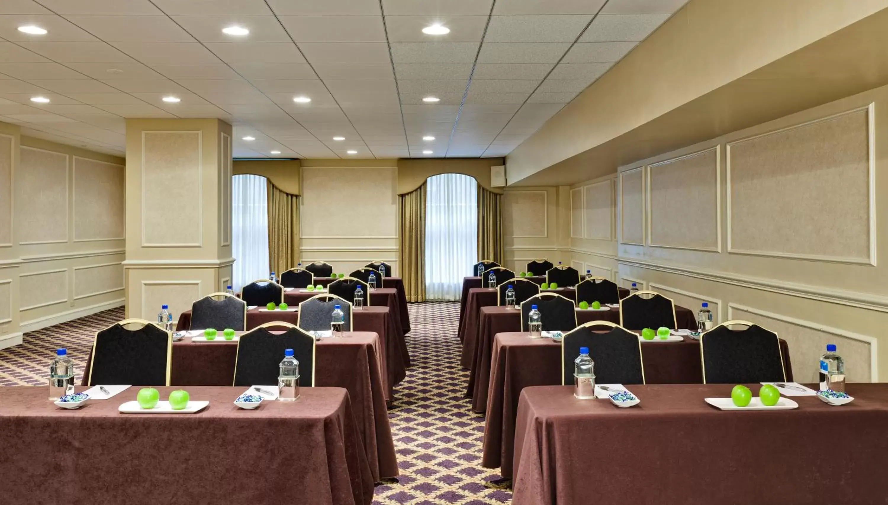 Business facilities in Millennium Knickerbocker Chicago