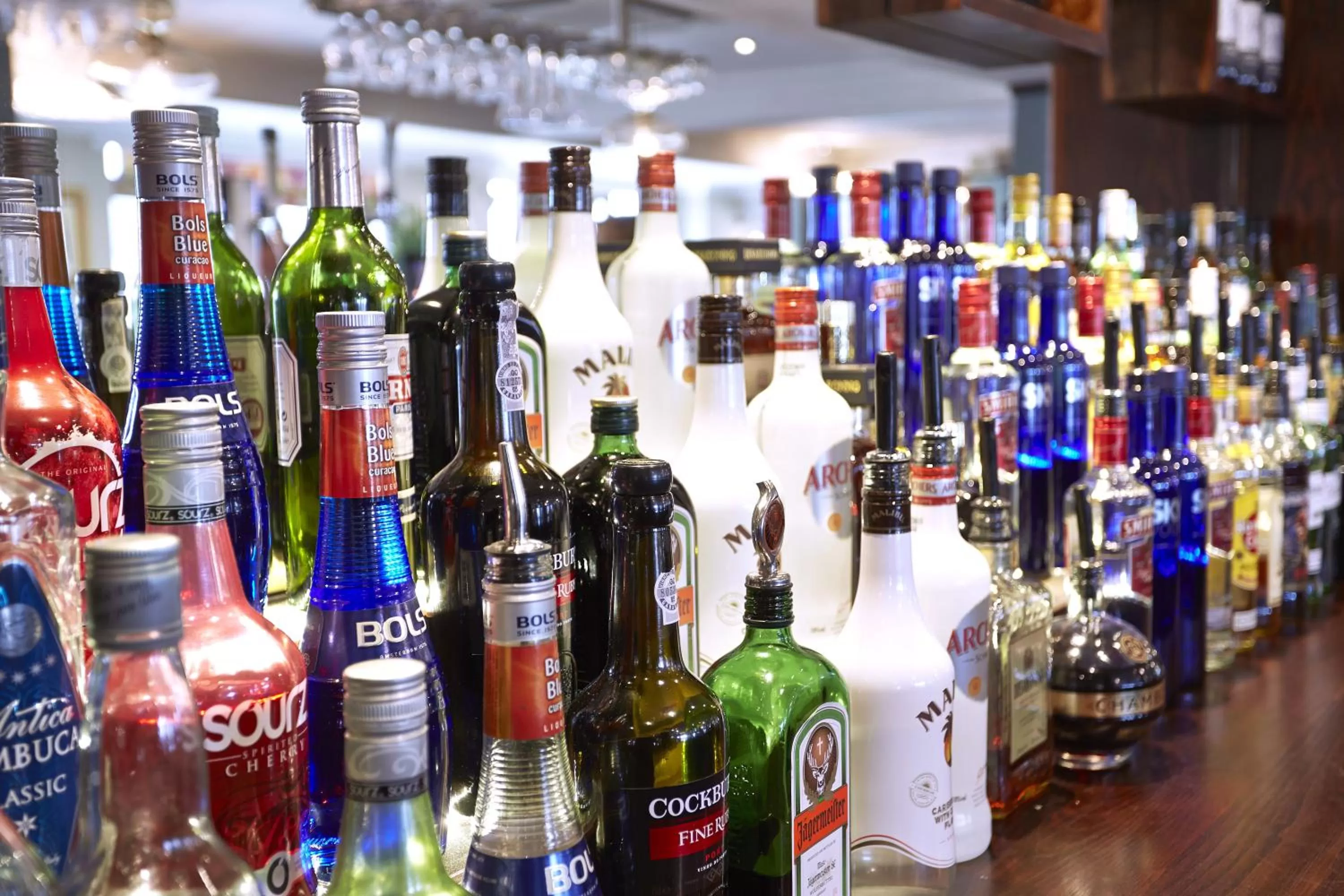 Lounge or bar in The Wishing Well