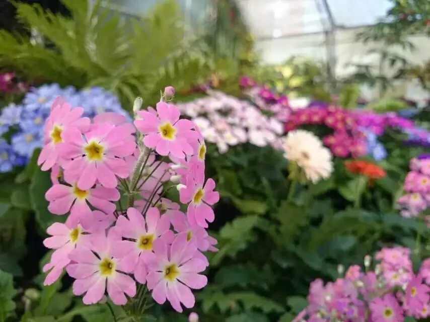 Day in Queens Park Motels