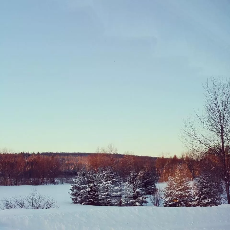 View (from property/room) in Spillover Motel and Inn