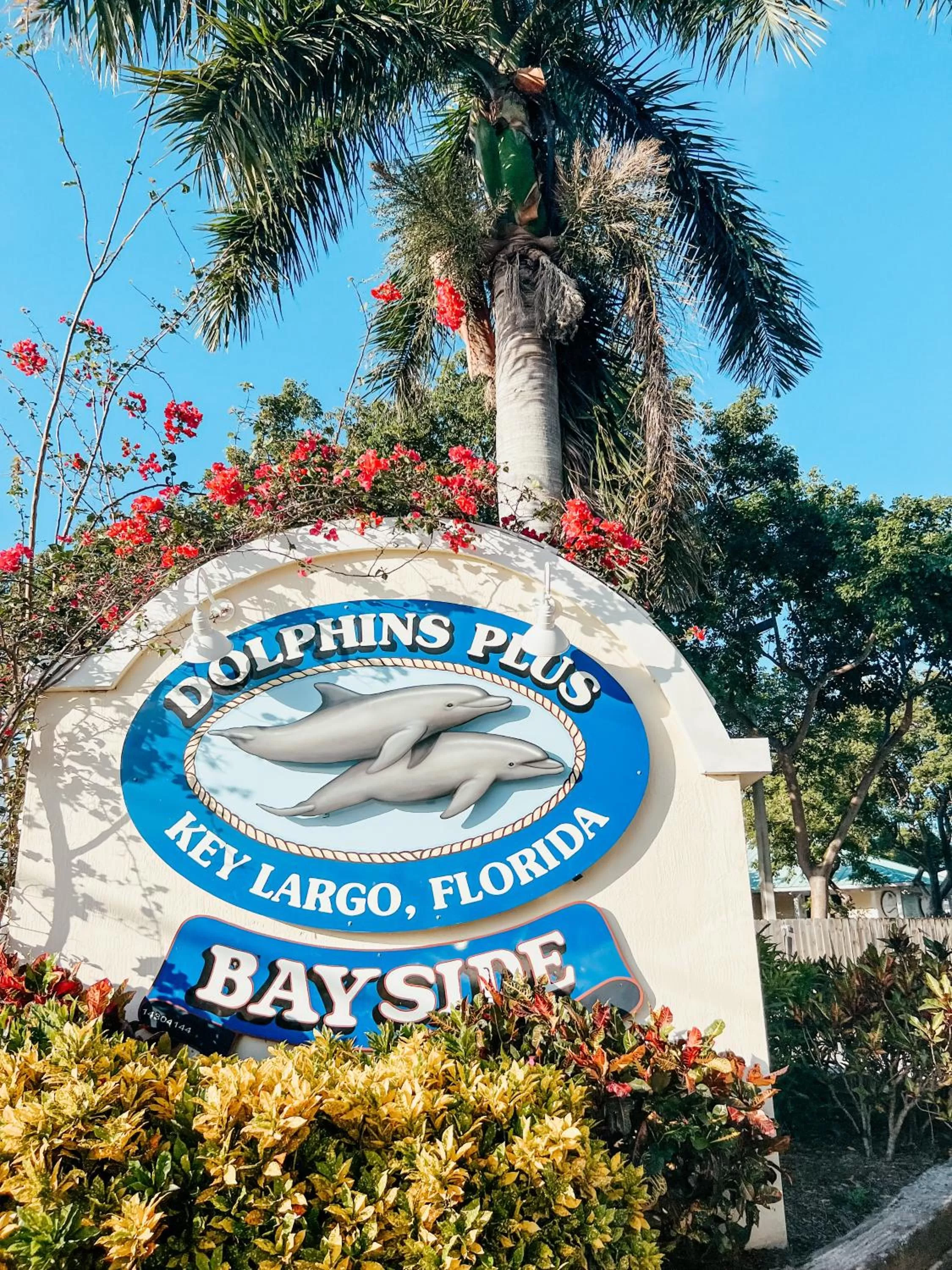 Natural landscape in Bayside Inn Key Largo