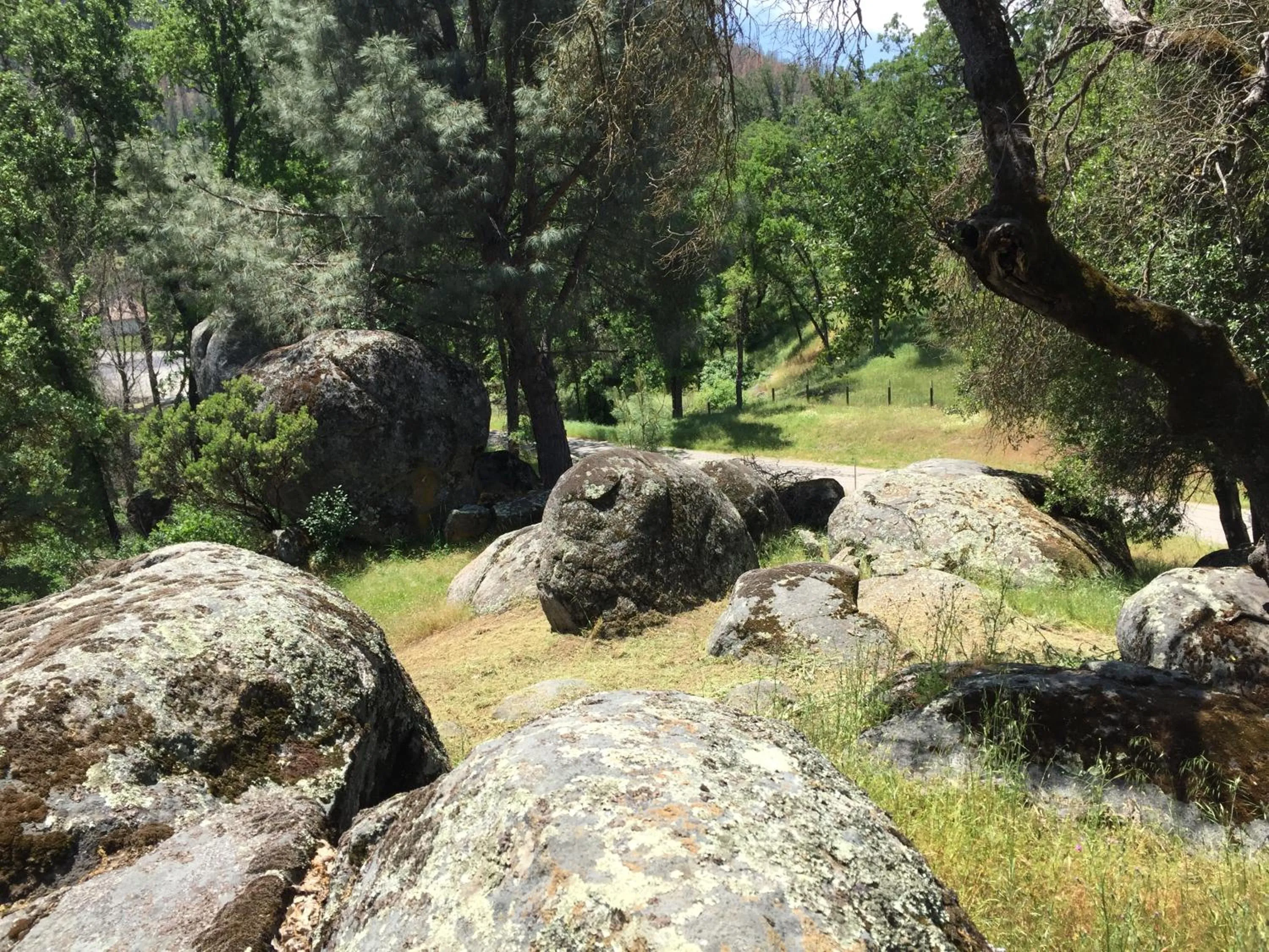 Day in Mountain Trail Lodge and Vacation Rentals