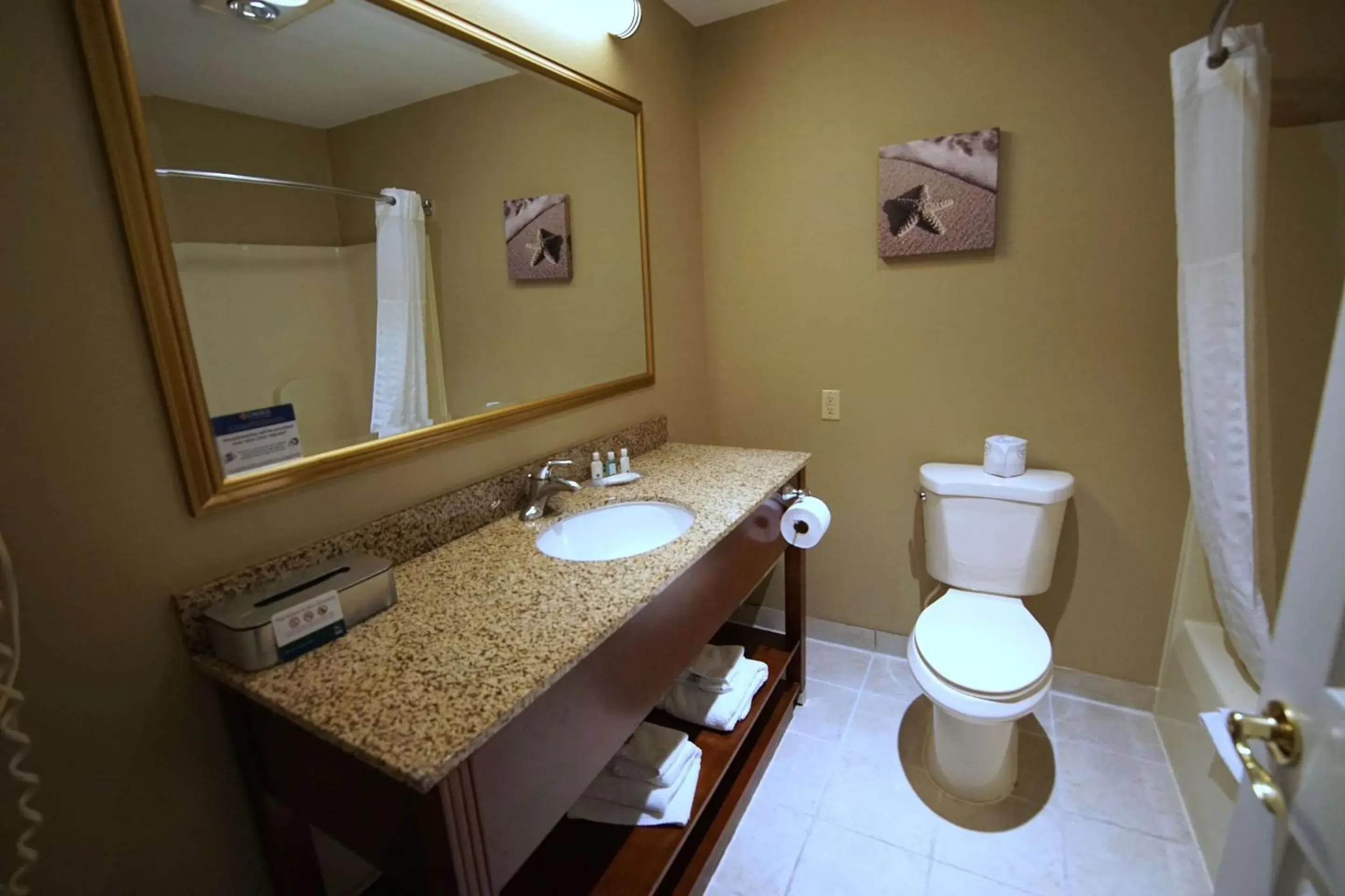 Bedroom, Bathroom in Quality Inn & Suites Georgetown - Seaford