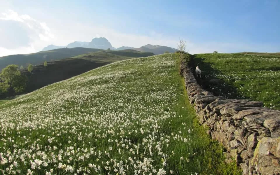 Hiking in B&B Villa Tavallini
