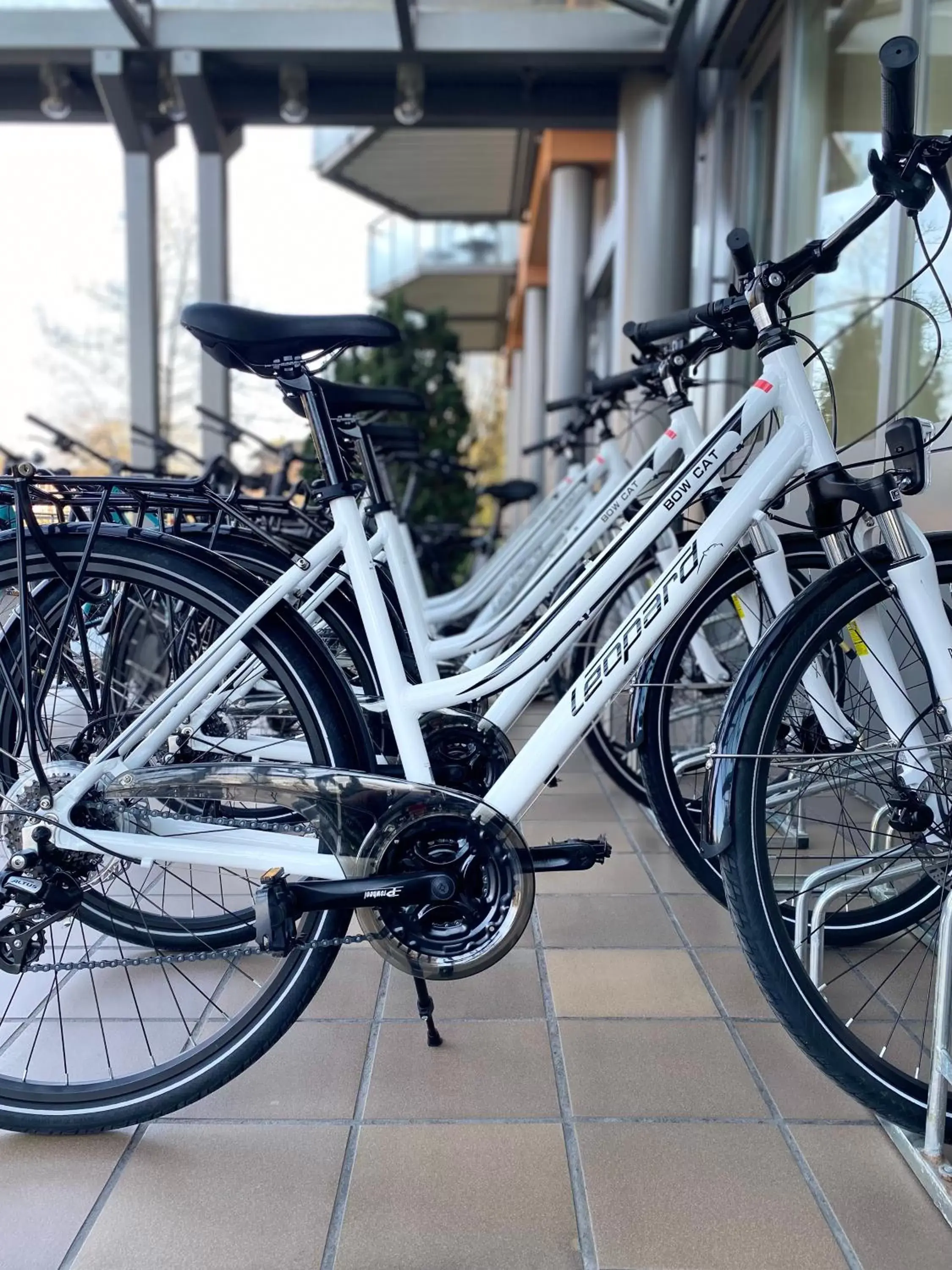 Cycling, Biking in Parkhotel Bad Zurzach