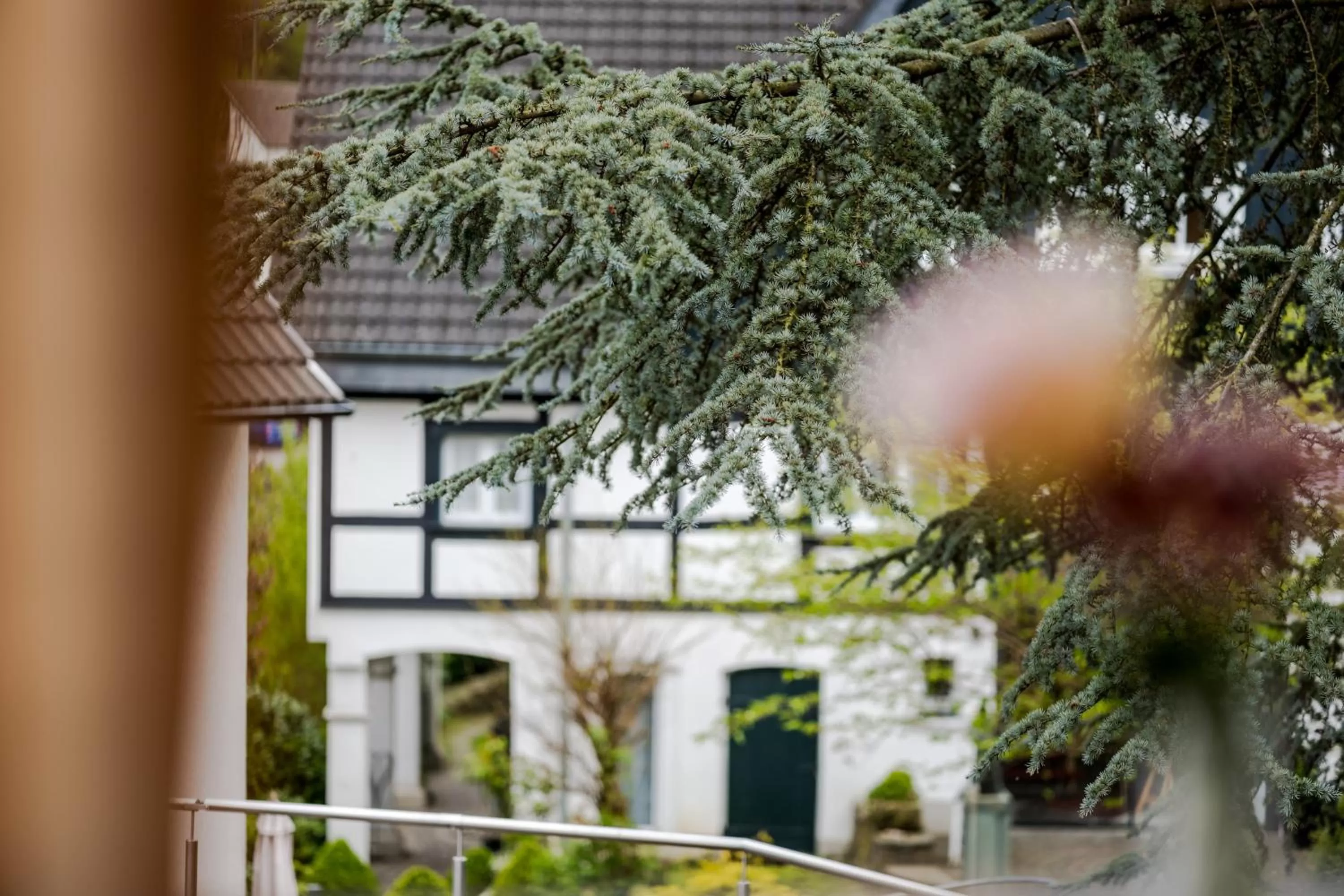 View (from property/room) in Romantik Hotel Neuhaus