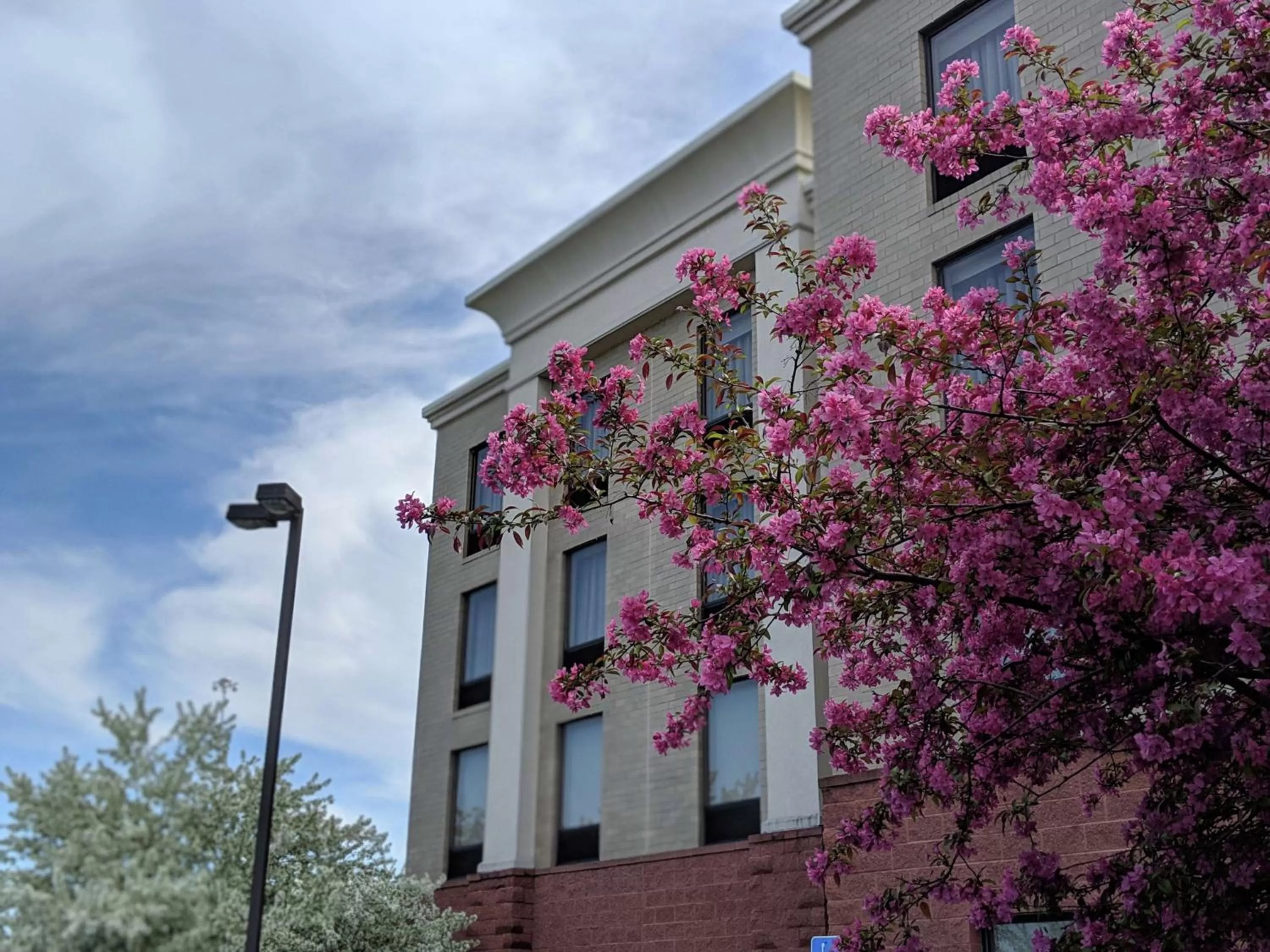 Property building in Hampton Inn &amp; Suites Cincinnati-Union Centre