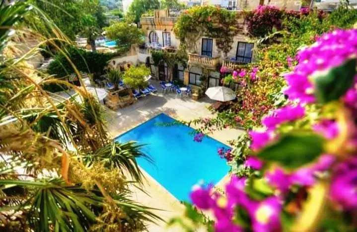 Pool View in Cornucopia Hotel