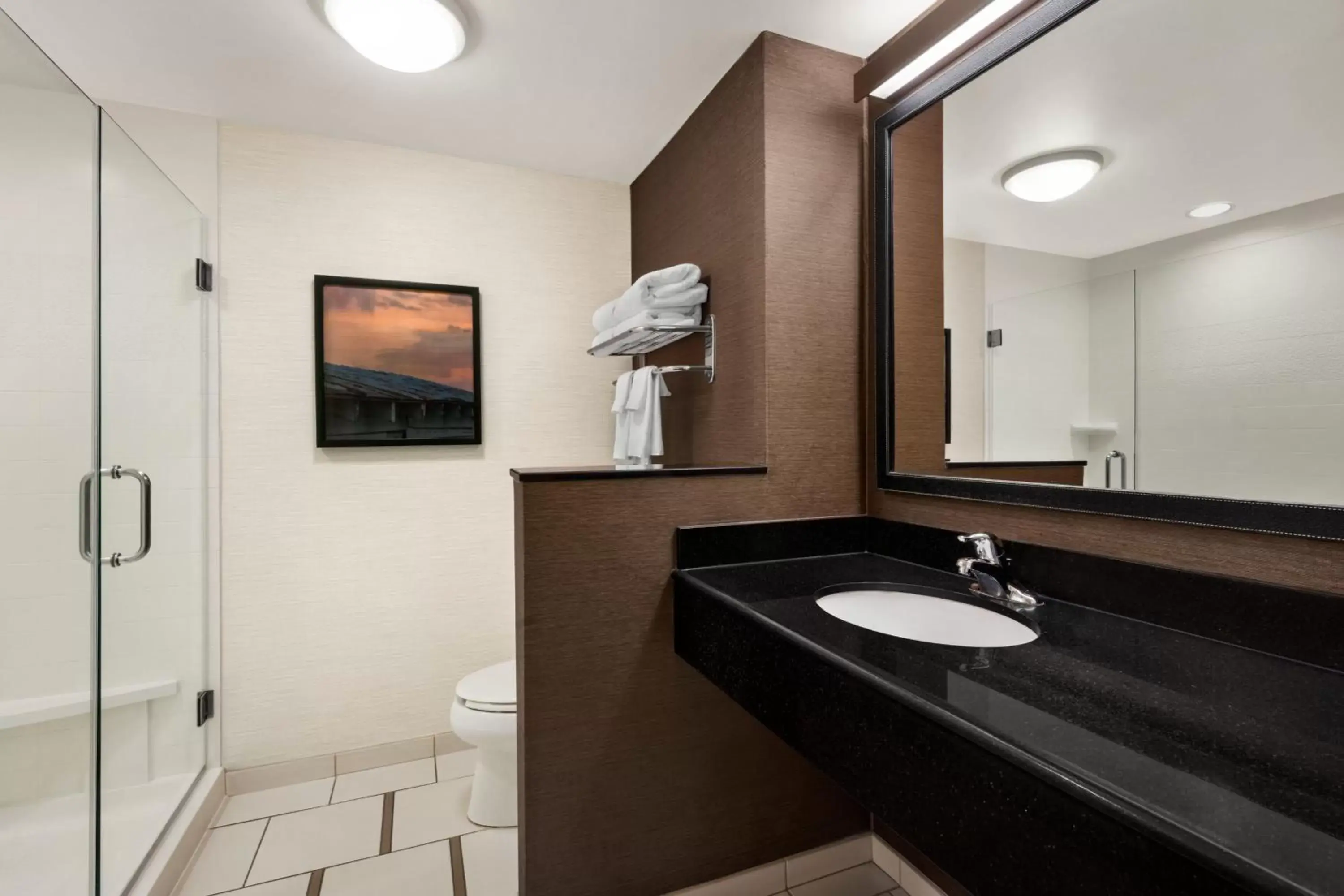 Bathroom in Fairfield Inn & Suites by Marriott Hershey Chocolate Avenue