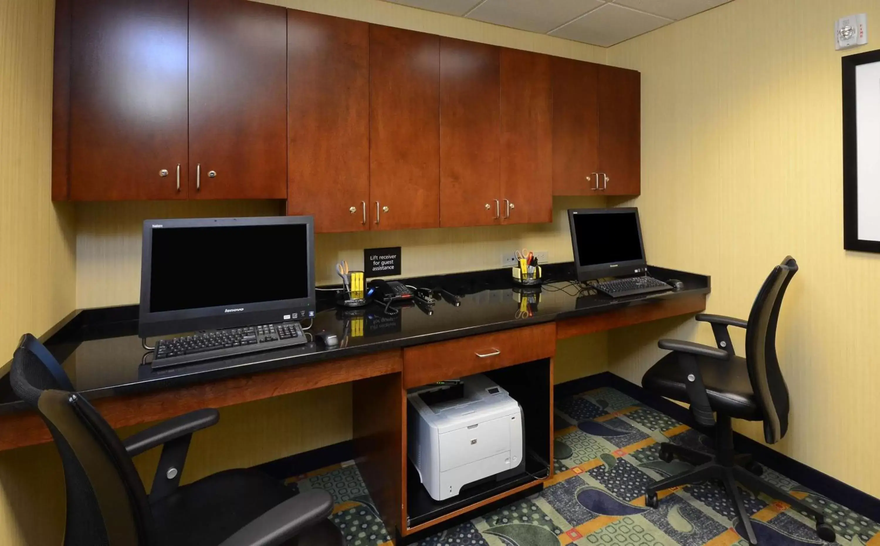 Business facilities in Hampton Inn and Suites Lynchburg