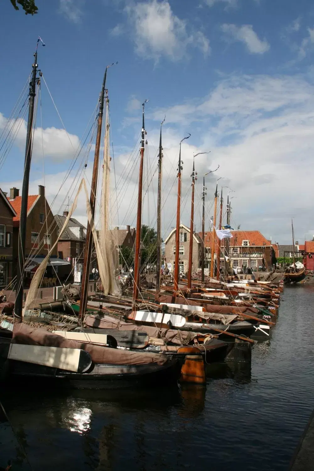 Neighborhood in BB aan de Zuyderzee