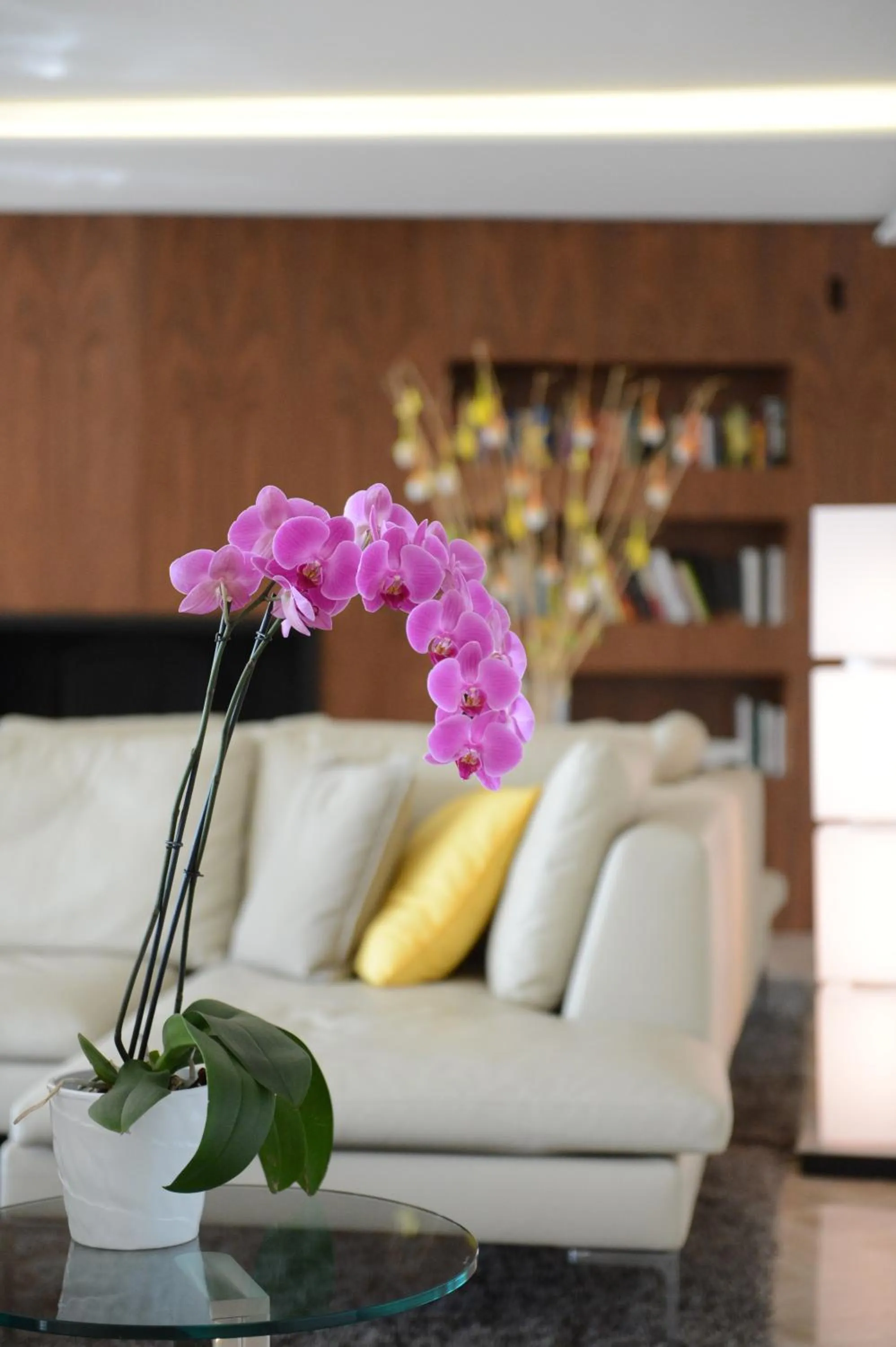 Lounge or bar in Hotel Restaurant La Vague de Saint Paul