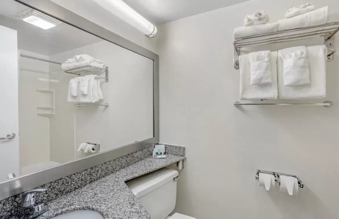 Bathroom in Quality Inn Riverview Enola-Harrisburg