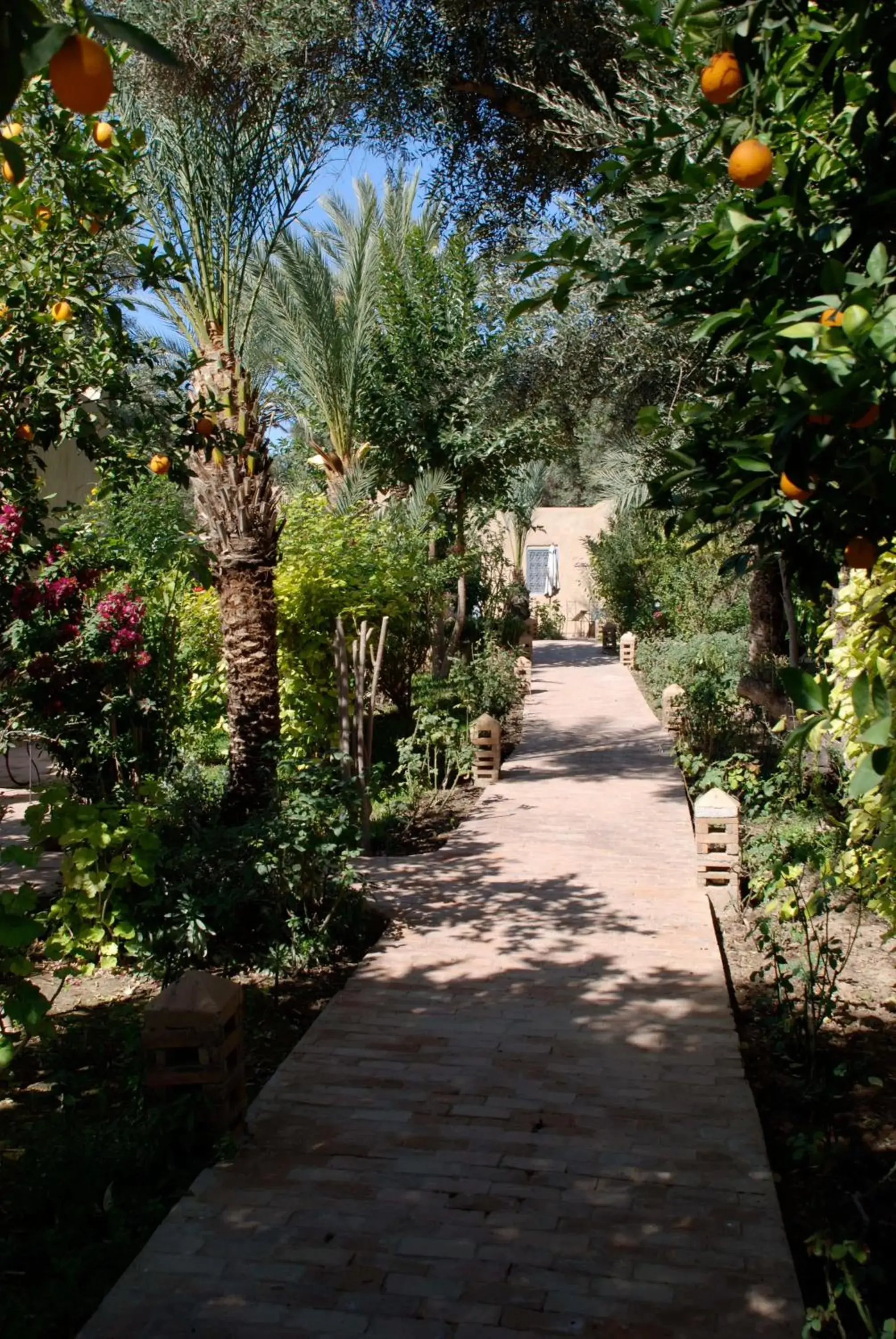 Garden in Hotel Dar Zitoune Taroudant