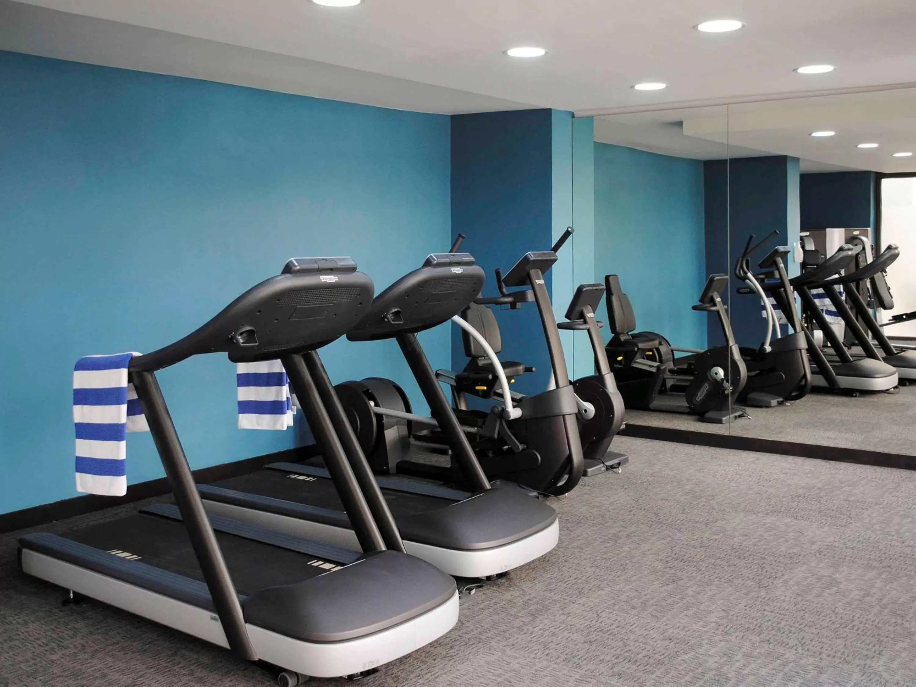 Other, Fitness Center/Facilities in ibis Amman