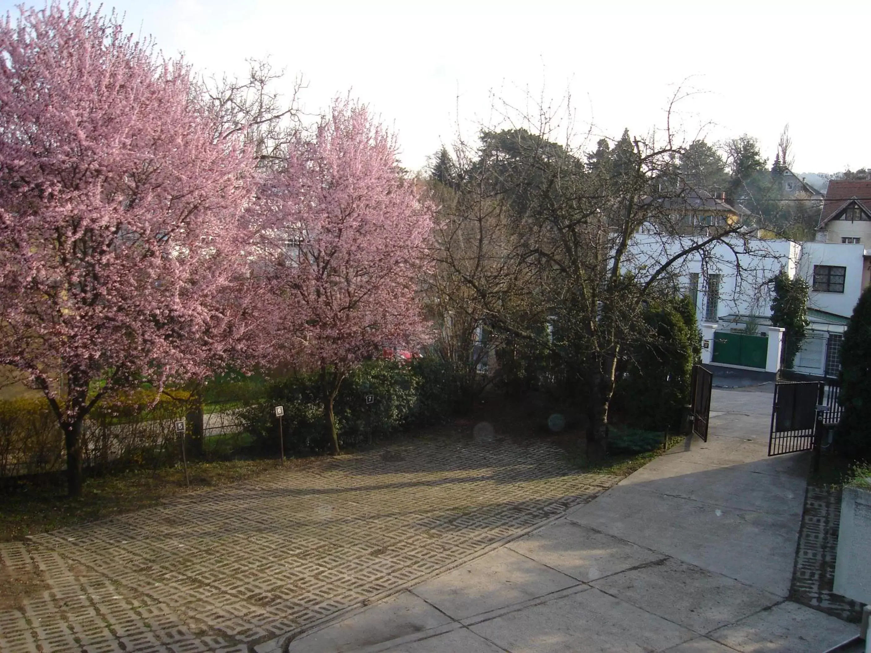 Area and facilities in Beatrix Hotel