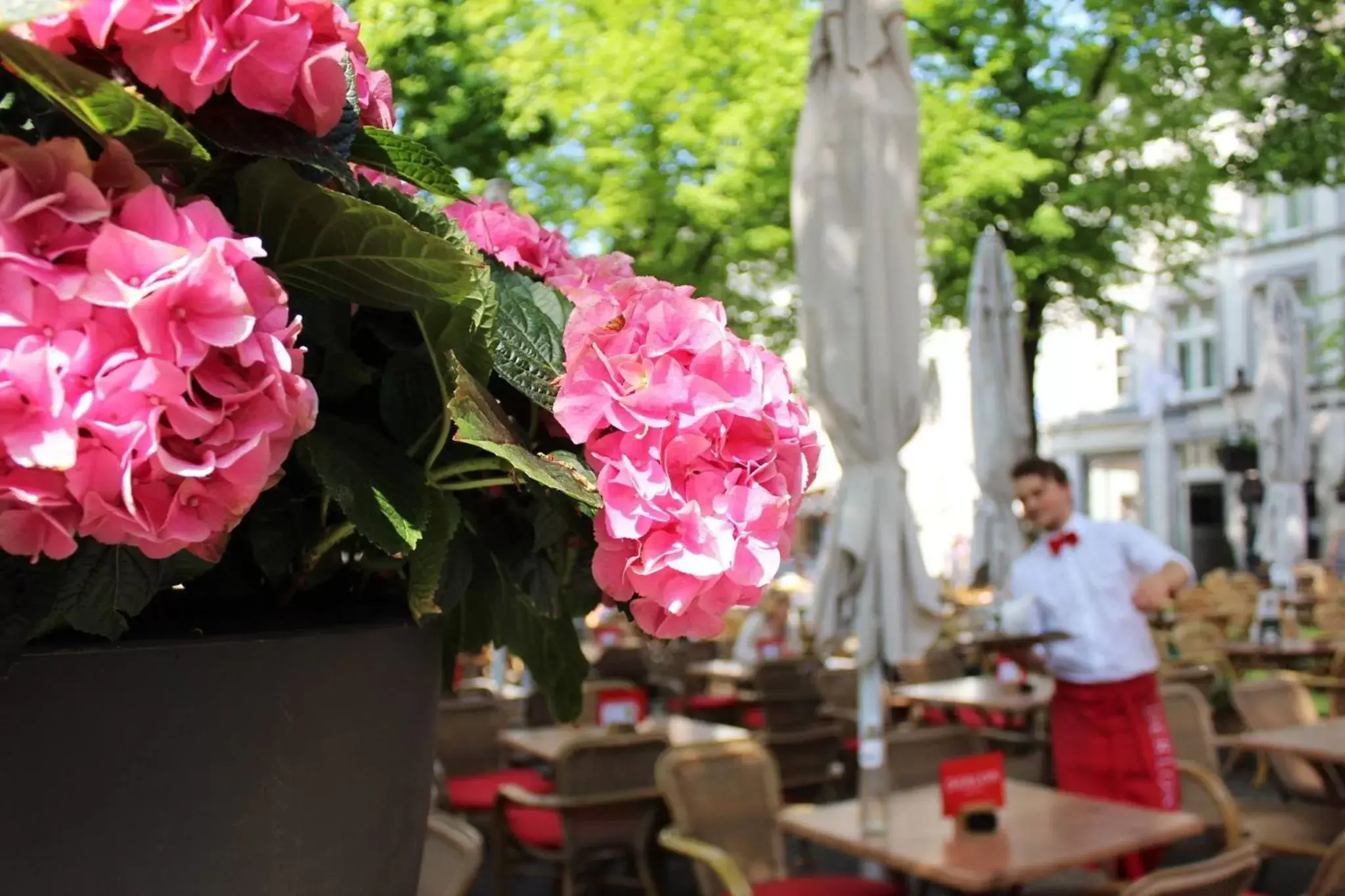 Balcony/Terrace in Derlon Hotel Maastricht