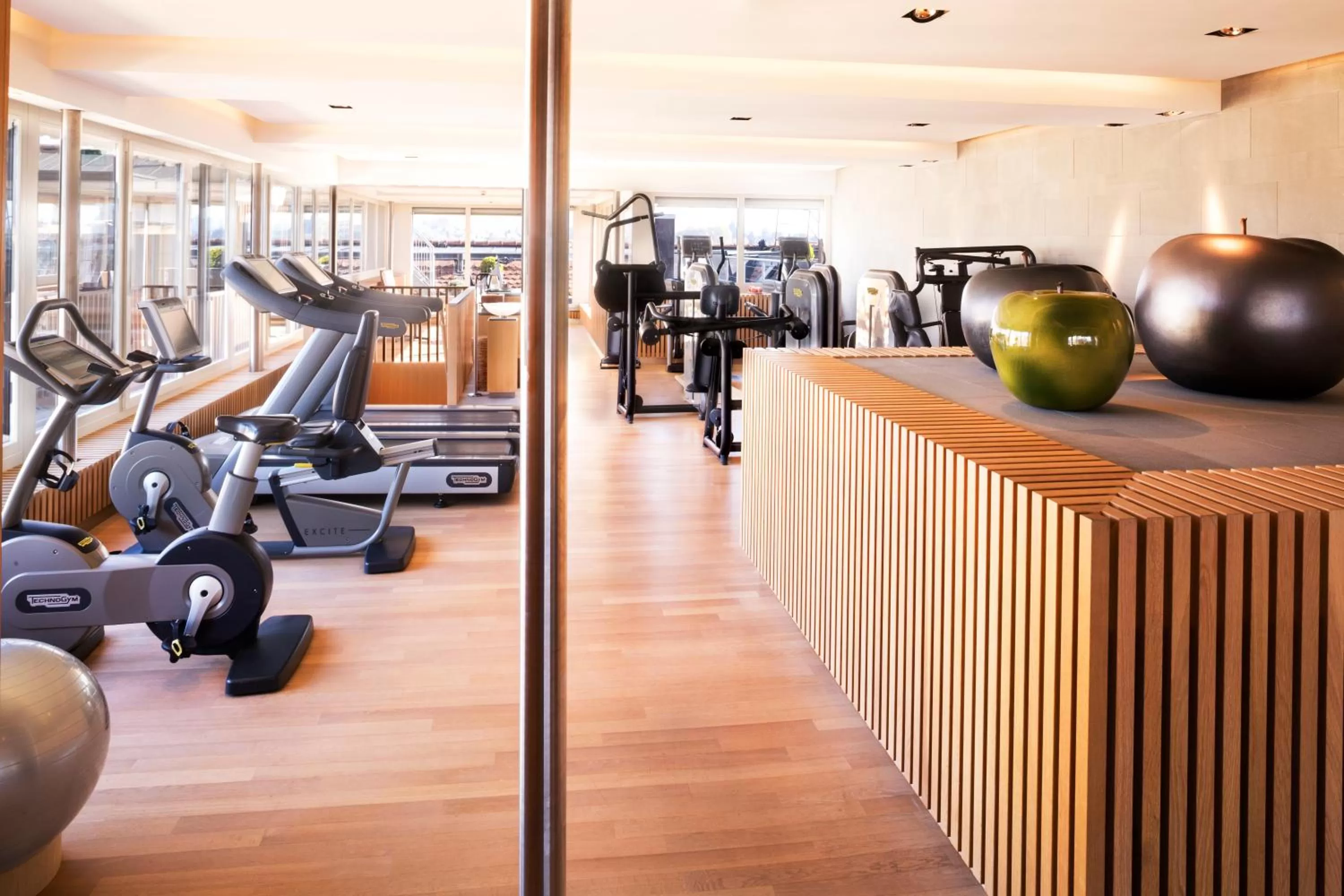 Fitness centre/facilities in Hotel Bellevue Palace Bern