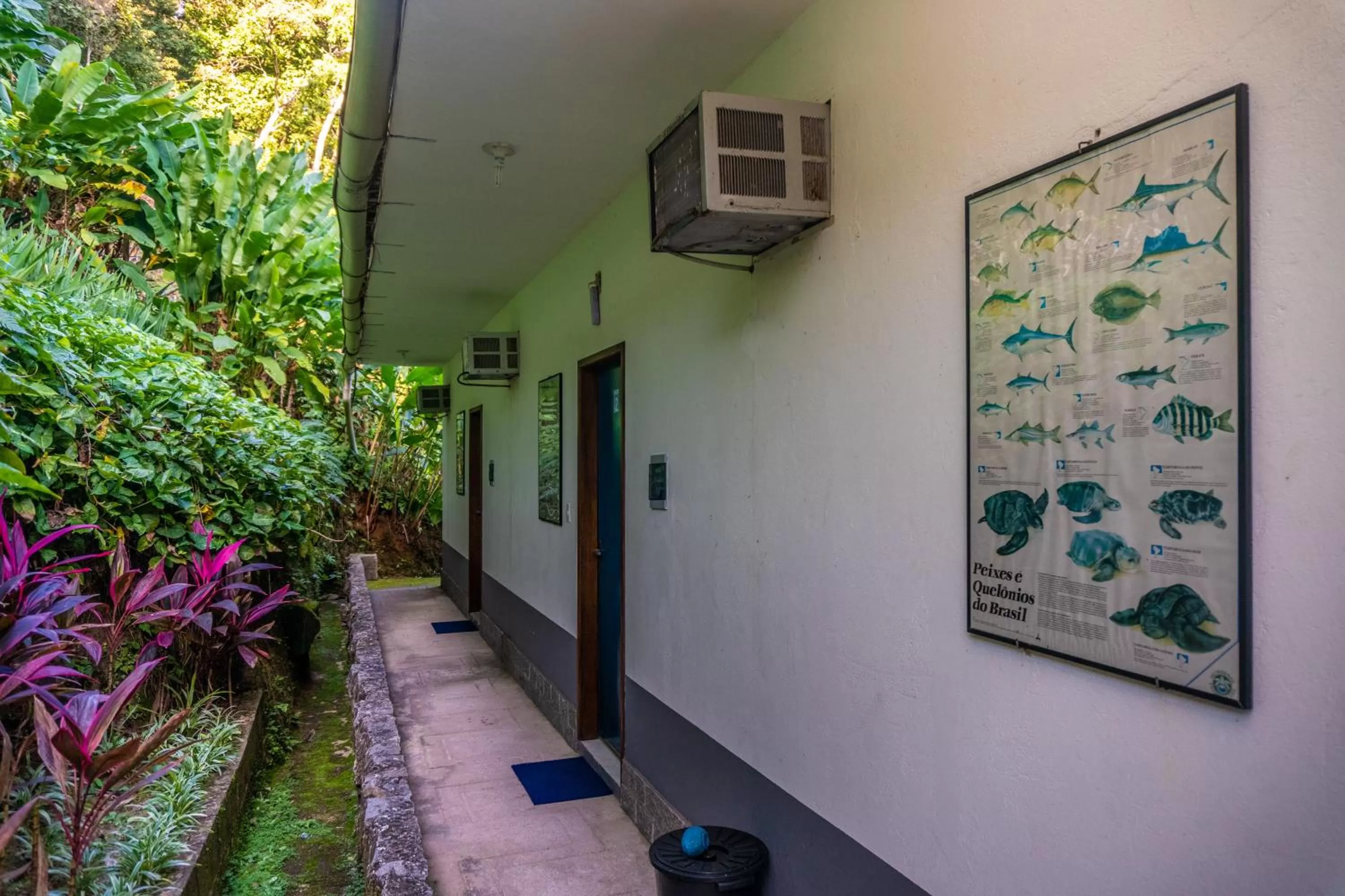 Landmark view in Pousada Piquara