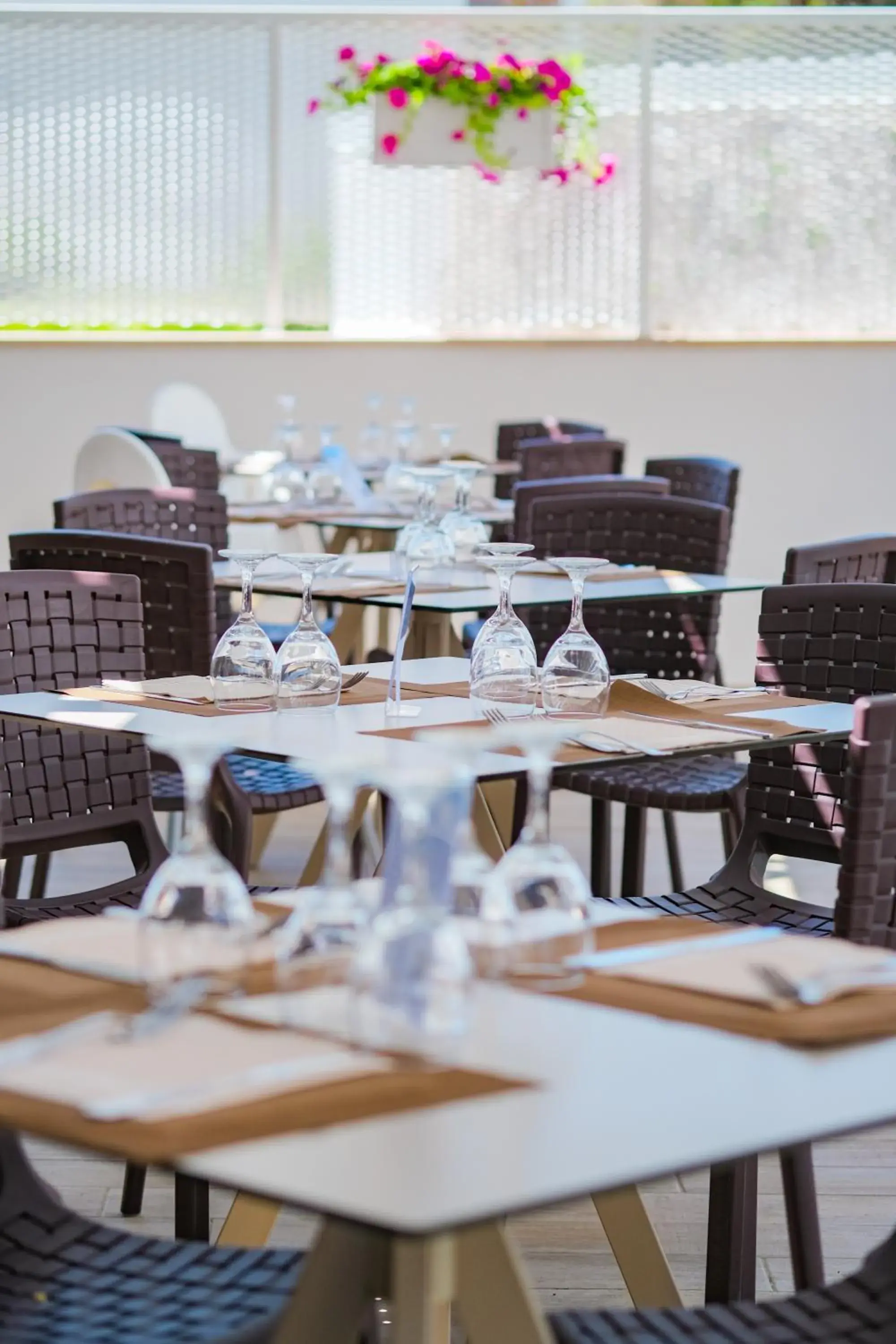 Restaurant/places to eat in Ticho's Greenblu Hotel Restaurant/places to eat in Ticho's Greenblu Hotel