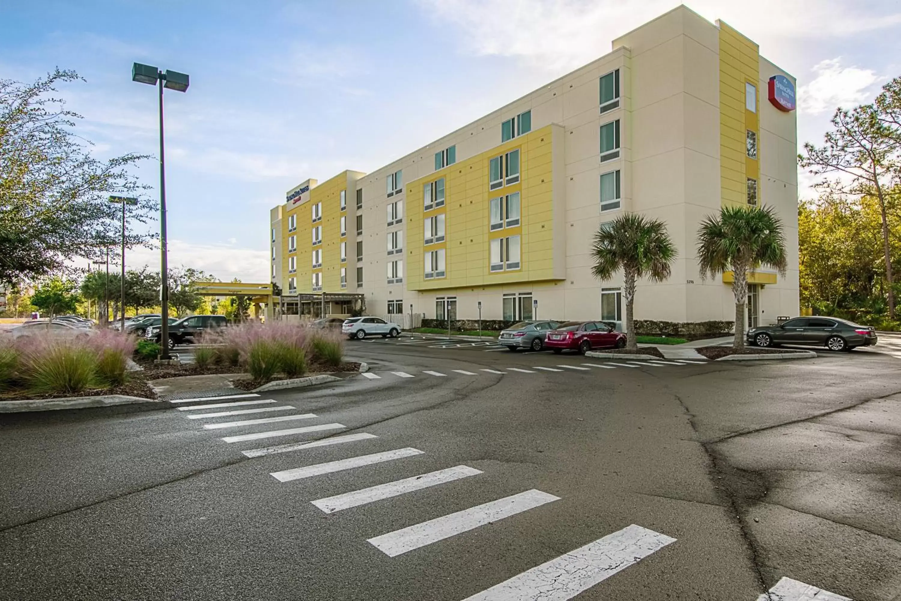 Property Building in SpringHill Suites Tampa North/Tampa Palms