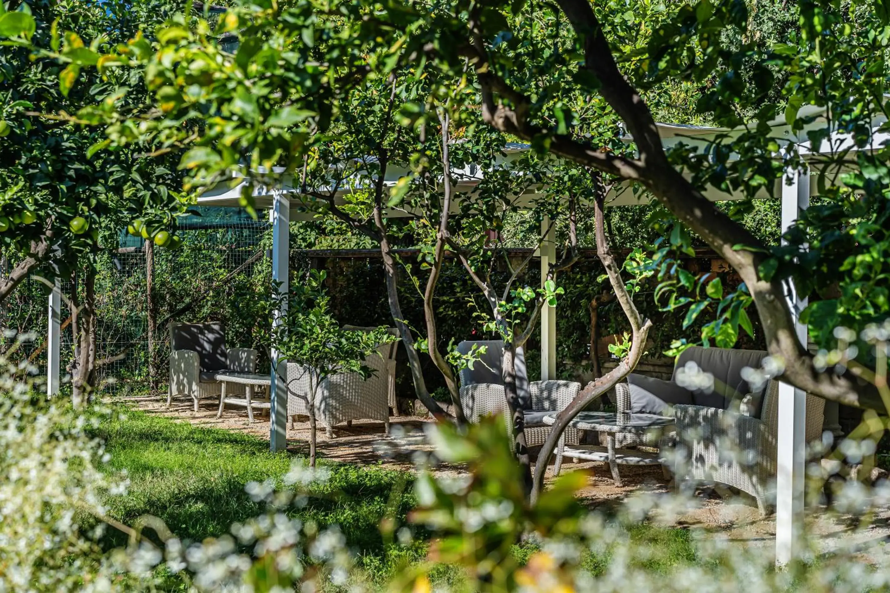 Garden in Hotel Capri