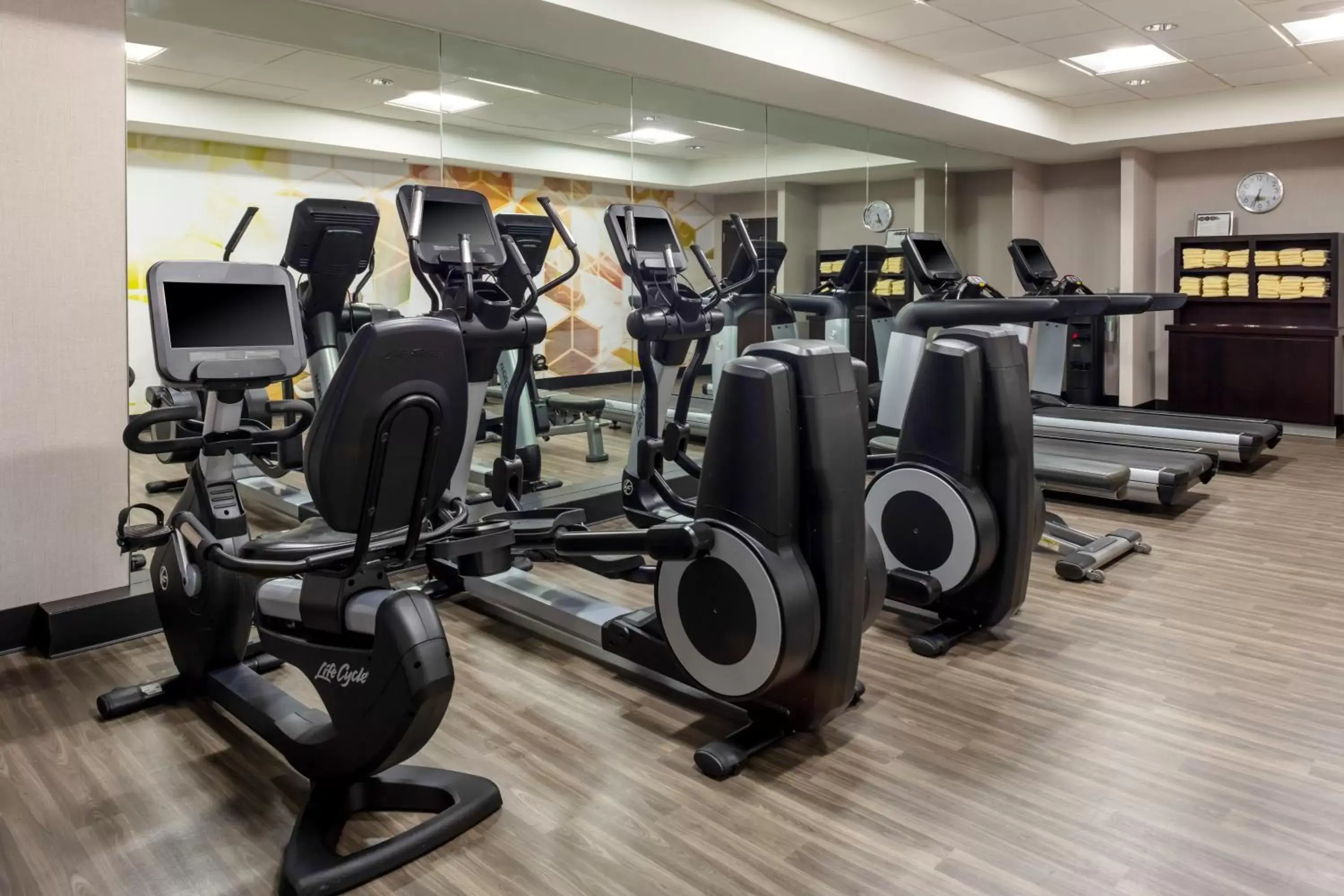 Fitness centre/facilities, Fitness Center/Facilities in Hyatt Place-Dallas/Arlington