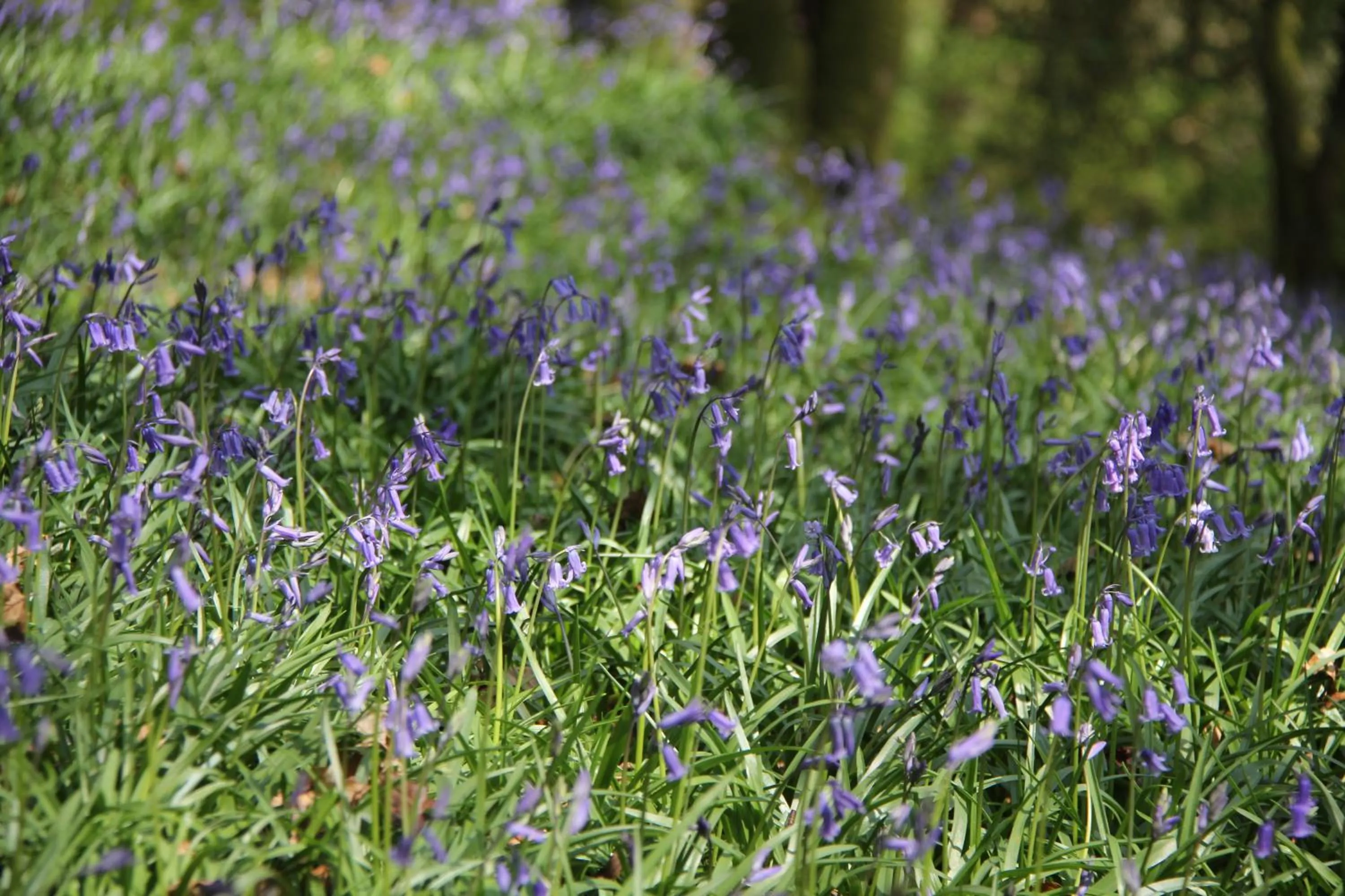 Area and facilities in Aberdunant Hall